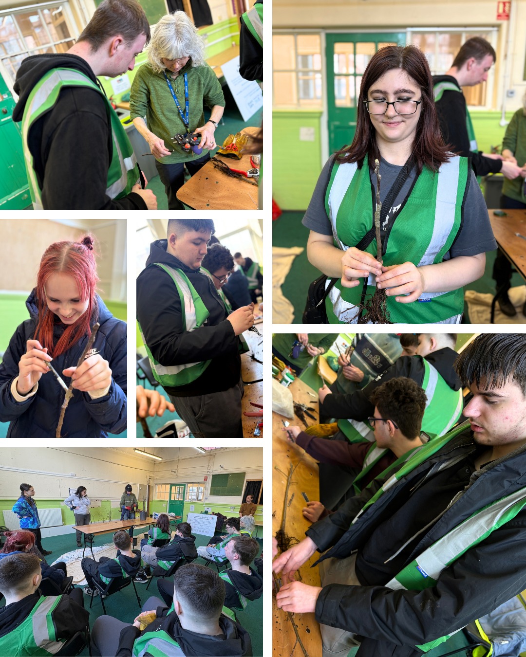 More #FruitTreeGrafting on the 19th with #SellyOakTrustSchool in #SellyOak, where we have planted the new trees at #OurFacility with @stans_cafe.
This fantastic new project for a heritage orchard, engaging young people from the local area, has been an absolute dream thus far, and we can't wait to continue our valued partnership work with the incredible people here.
All images belong to Michelle from Stan's Café.