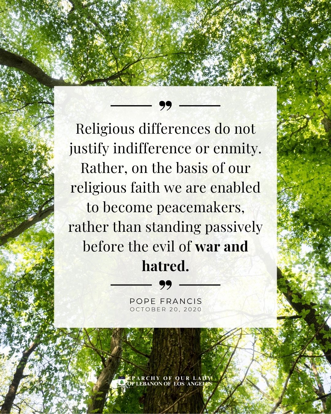 Religious differences do not justify indifference or enmity. Rather, on the basis of our religious faith we are enabled to become peacemakers, rather than standing passively before the evil of war and hatred.
Pope Francis
October 20, 2020