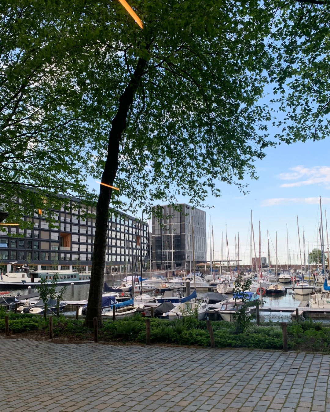 💥 Bye winterdip, hallo energie!
Spring de lente in met krachtige workouts op motiverende muziek en een community die je elke sessie pusht.
Of je nu aan krachttraining doet of altijd te vinden bent in onze groepslessen, je bent altijd onderdeel van onze community. 🙌
#lifeandkicking #fitvoordelente #trainwithus #gymcommunity #highenergy #strongereveryday #lifeandkickingcommunity #ijburg