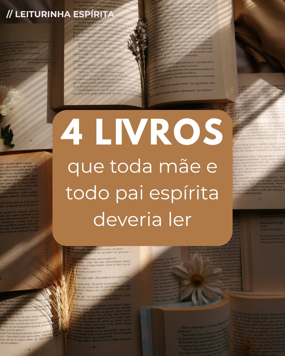 📚✨ 4 livros que todo pai e mãe espírita deveria conhecer.
___Para educar nossas crianças, não podemos esquecer de educar a nós mesmos. Leituras que orientam, acolhem e fortalecem na missão de educar com amor e consciência. 💛🌱
👉 Quer receber uma lista completa com livros para adultos e crianças, separados por tema e idade?
Comente LISTA aqui nos comentários ⬇️✨