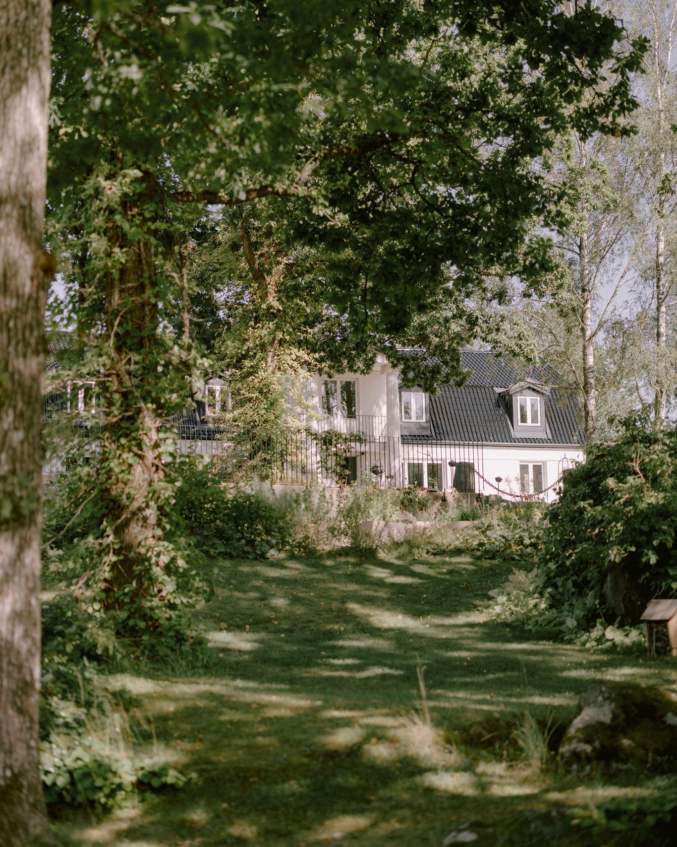 Ni har väl inte missat att vi nu har öppet även på söndagar? Checka in och få det bästa avslutet på veckan🌱