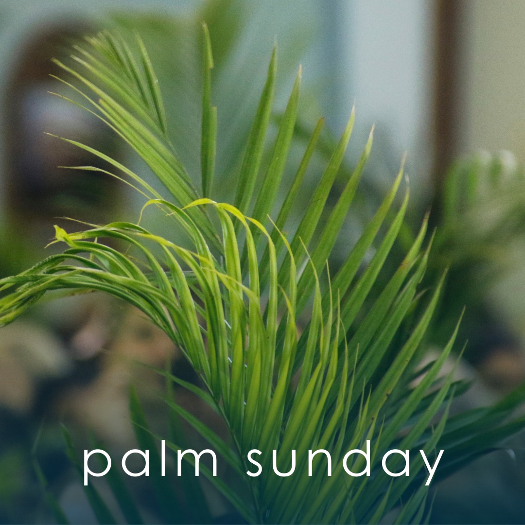 Holy Week begins with Palm Sunday, March 29. 🍃 Join us at 10:00 am, in-person or online:
https://www.stjameslutheran.org/livestream
#LoveOutpoured #lakeforestil #lakebluffillinois #stjameslutheranlakeforest