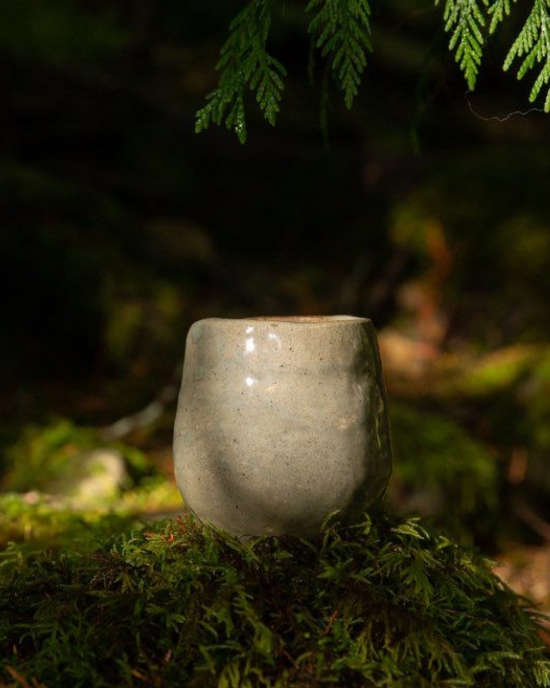 Ar žinojai? 🌿
Būdami gamtoje, maistą ir gėrimus jaučiame kitaip.
Grynas oras, judėjimas ir aplinkos ramybė sustiprina skonio pojūčius – todėl viskas atrodo skaniau, sodriau, tikriau.
Ne veltui paprasčiausi užkandžiai gamtoje tampa ypatingi ✨
Mashie primena –
kartais tereikia išeiti į gamtą, kad iš naujo atrastum skonį.