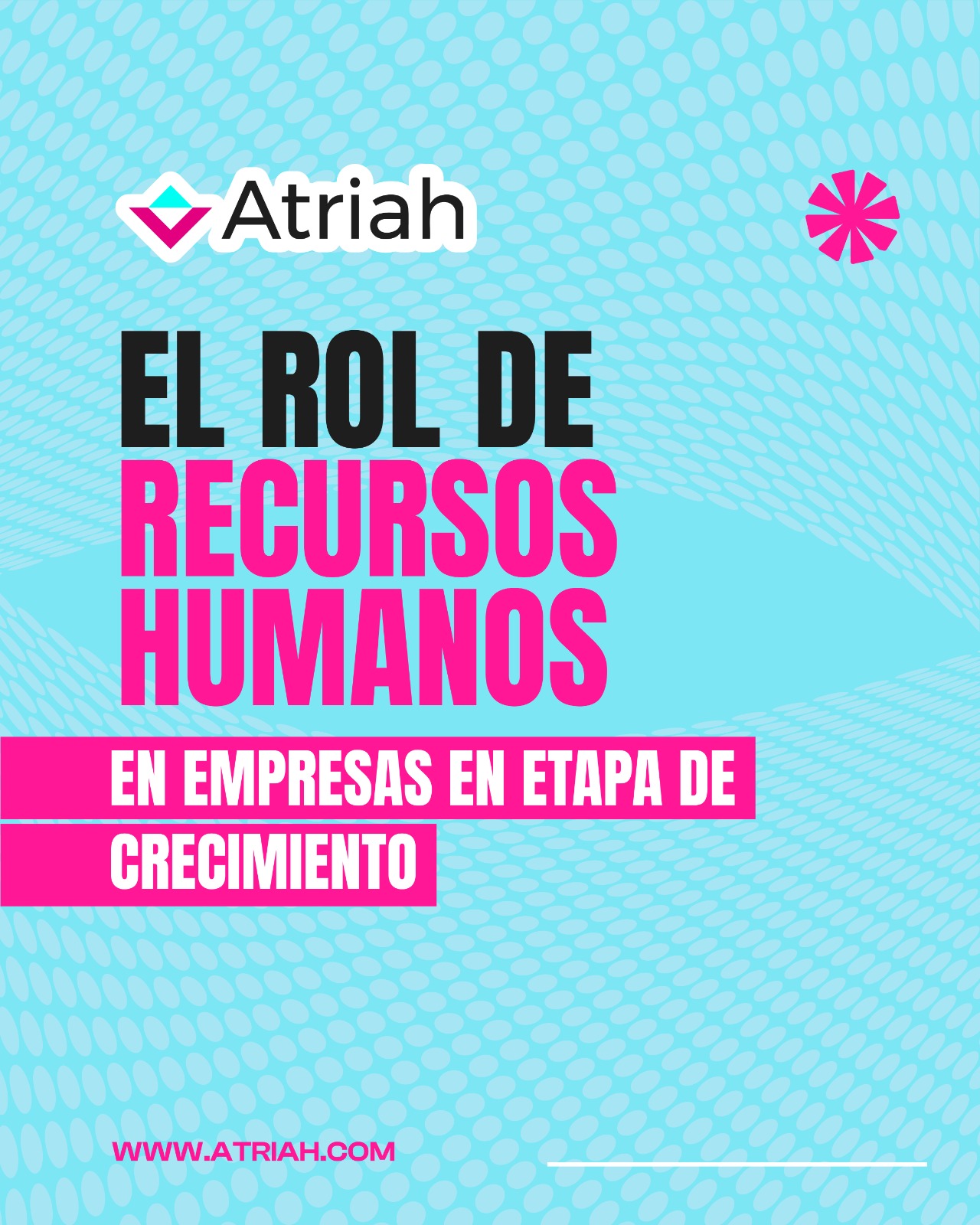 Cuando una empresa crece, necesita estructura, organización y una mejor gestión del talento. 🚀
Recursos Humanos ayuda a construir una base sólida para ese crecimiento.
En Atriah apoyamos a empresas que buscan crecer con orden y estrategia. 💼
📍 San Juan, Puerto Rico
🌐 atriah.com
📧 mrivera@atriah.com
#Atriah #RecursosHumanos #EmpresasEnCrecimiento #CapitalHumano #RRHH #EmpresasPR