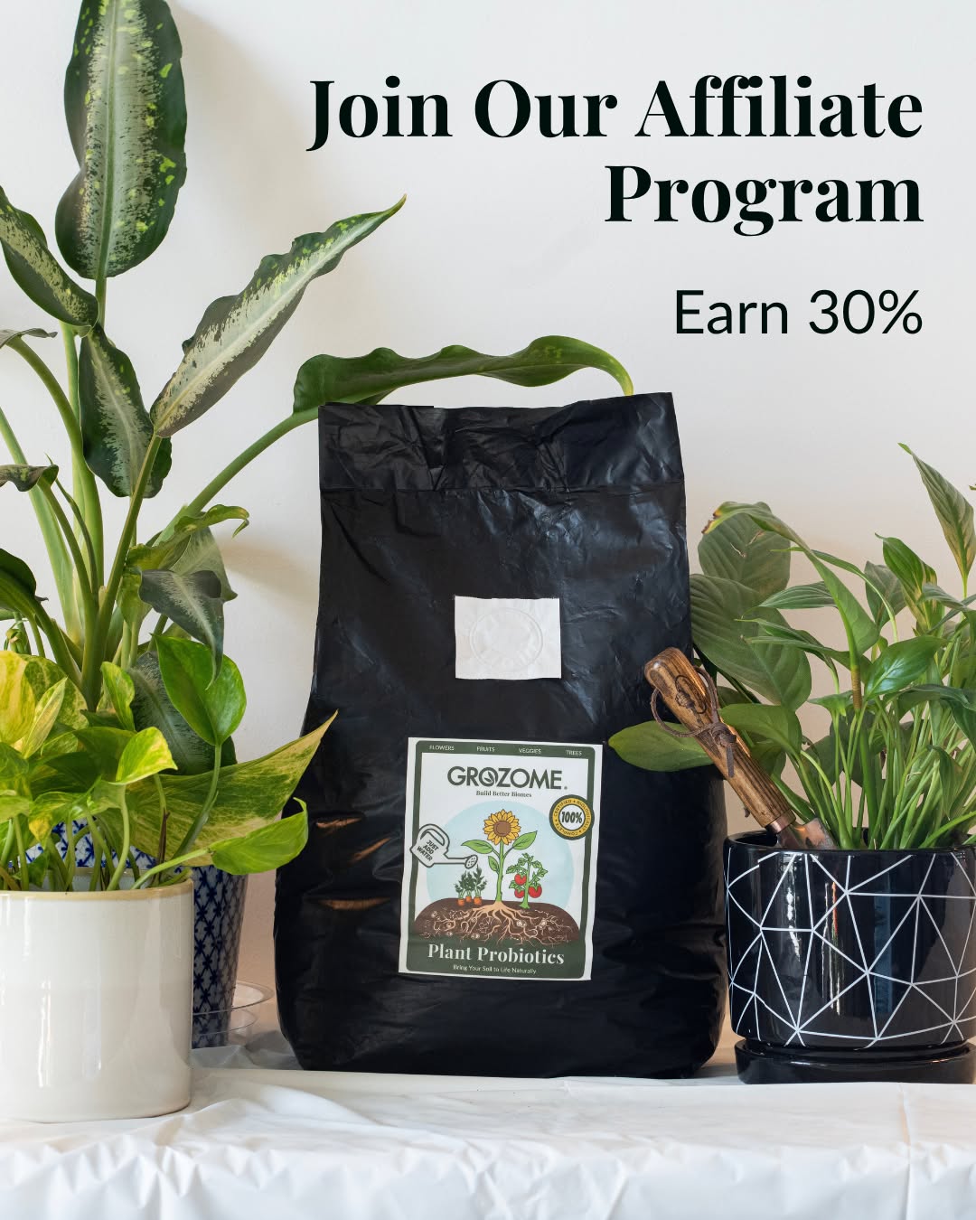 We are building something from the ground up and we are looking for a small group of founding affiliates to join us.
Join the GROZOME affiliate program:
âą 30% commission
âą 15% off for your audience
If you love plants, soil health, or teaching others how to grow, this is for you.
đ Apply now, https://bit.ly/grozomeaffiliate