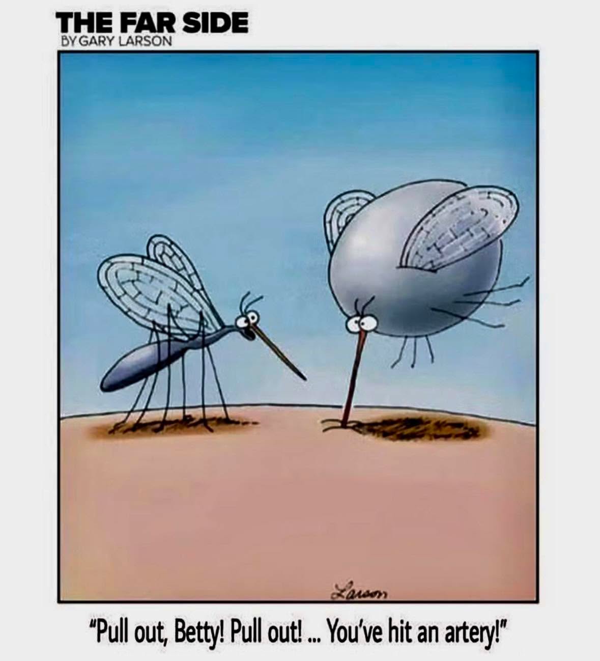 🥶🥶🥶 It sure was cold last night…and as sick of the cold as we all are, let’s just keep in mind what it is holding back 😉