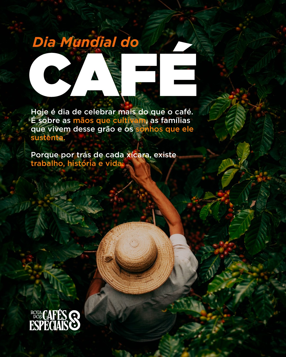 Hoje é o Dia Mundial do Café.
Uma data para celebrar cada grão, cada produtor e cada história que nasce no campo e chega até a sua xícara.
Na Rota dos Cafés Especiais, a gente vive isso todos os dias: conectando pessoas, origens e experiências através do café especial.
#rotadoscafesespeciais #cafeespecial #diamundialdocafe