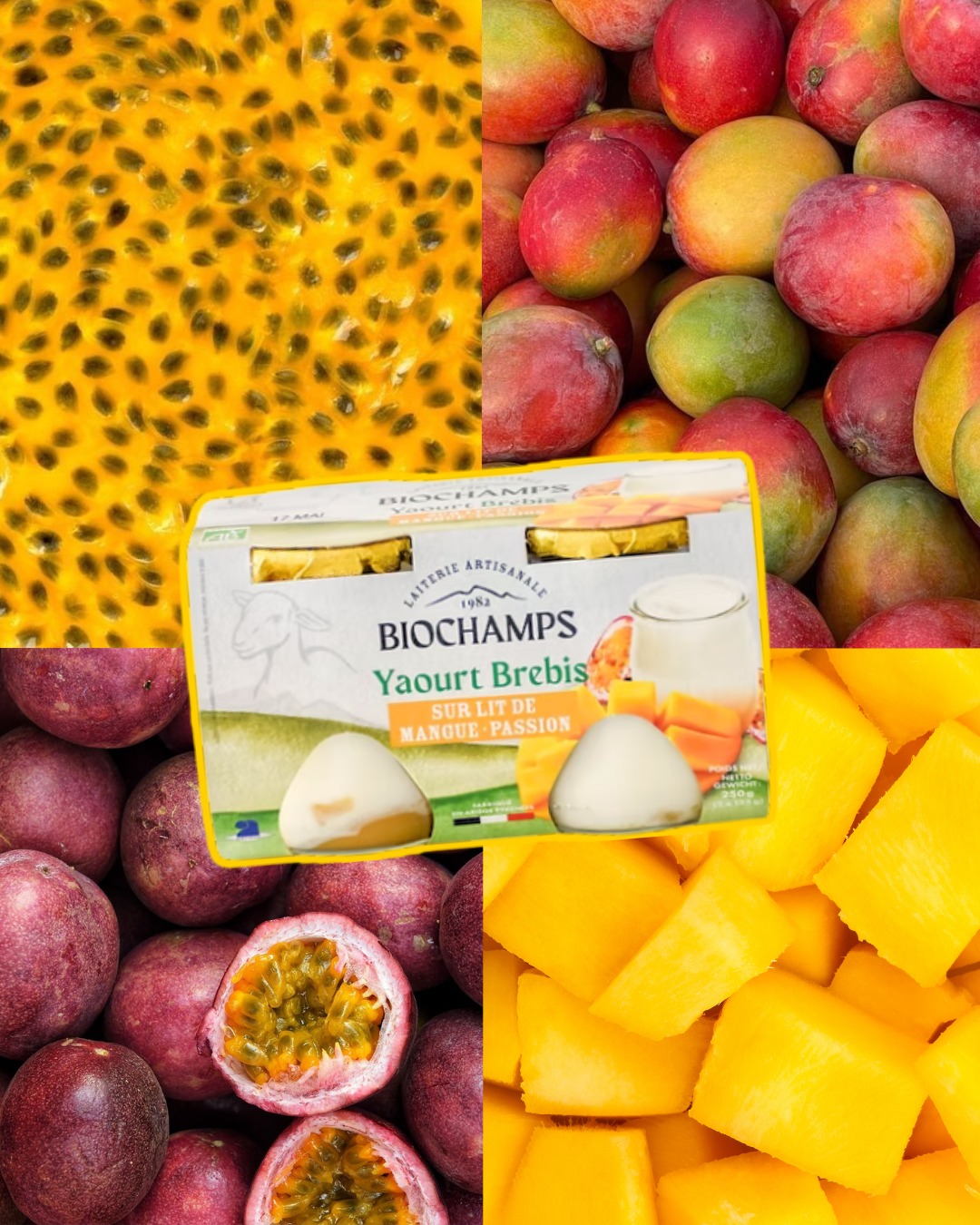 Notre yaourt de brebis, délicatement posé sur un lit de mangue & passion 🥭
L’équilibre parfait entre la douceur du lait de brebis et la fraîcheur des fruits pour une cuillère pleine d'exotisme 😍
Simple, gourmand, et terriblement addictif. Qui craque ? 👀
#biochampslaiterie #yaourtbrebis #manguepassion #biodepuis1982 #laiterieartisanale #ariègepyrénées #laitdebrebis