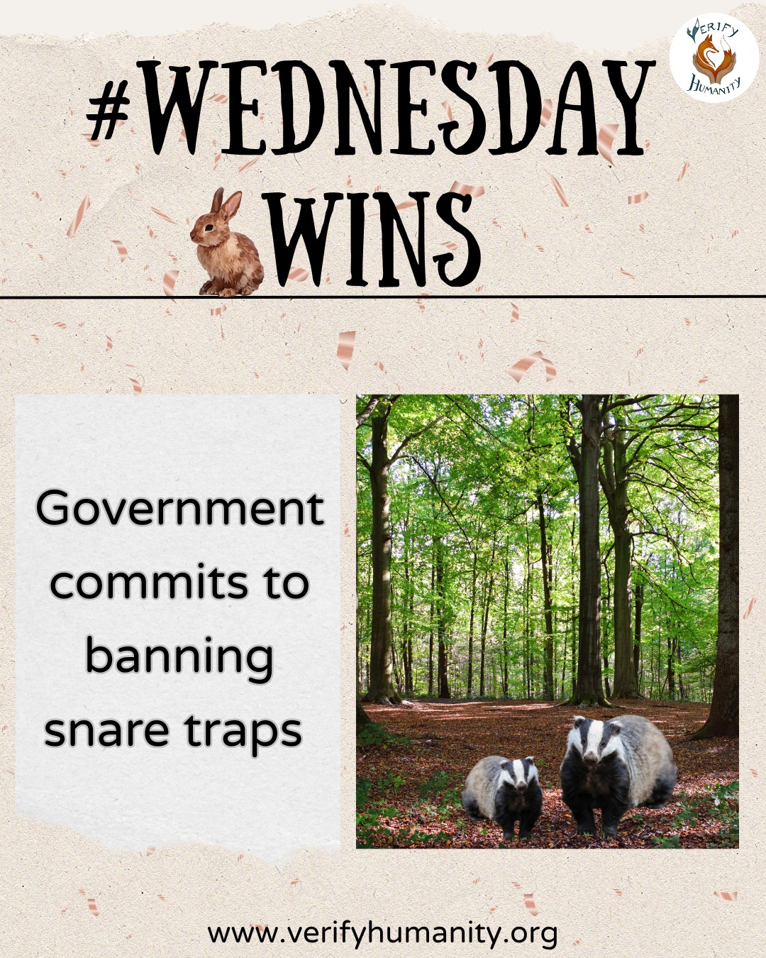 It’s #WednesdayWins 🐾🌿
The government has committed in its manifesto to ban snare traps and address the disparity in penalties for wildlife cruelty. This has come at a time when public concern for wildlife is stronger than ever.
A YouGov poll (January 2025) found that 71% of adults in England believe it should be illegal to use snares. This shows a clear public support for stronger protections, as well as showing the importance of public opinion playing an important role in driving real legislative change.
The government has acknowledged the importance of animal wellbeing in their strategy, stating that 85% of UK adults agree that we have a moral duty to safeguard animal wellbeing. Encouragingly, the government has said it will work with people and organisations across the sector to share knowledge and shape action to better protect wild animals. This is a win for wildlife 🦊🦡
The focus on snares is not isolated; it is part of a broader shift that includes:
- Reviewing other wildlife traps
- Updating outdated wildlife legislation
- Addressing disparities in penalties for wildlife cruelty
Want to be part of the change?
Use our #WednesdayWins to get involved!
#LoveNature #LoveWildlife #UKWildlife #WildlifeProtection #WildlifeMatters
Source
Animal Welfare Strategy for England (22.12.2025)