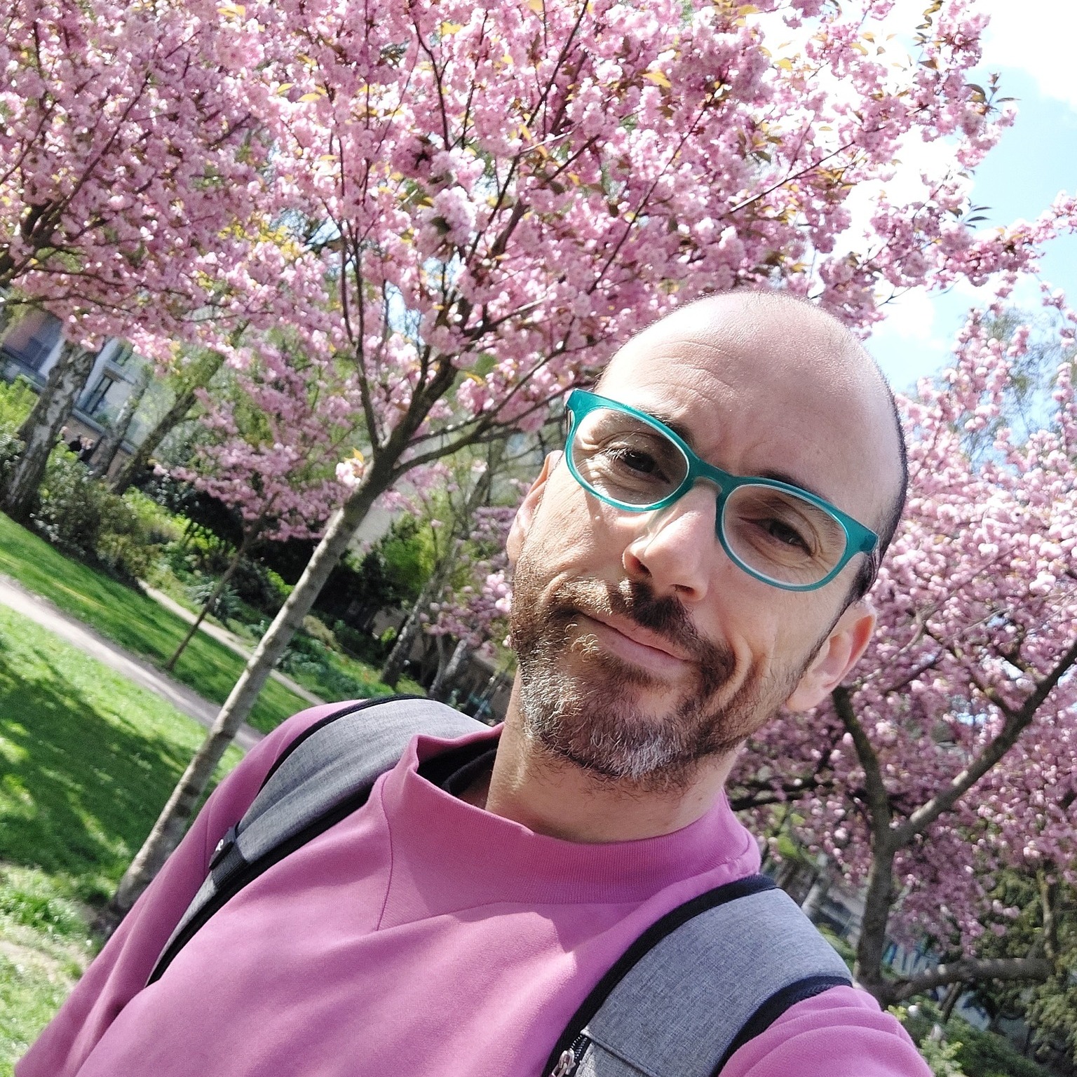 ורוד בברלין: כשפריחת הדובדבן משתלטת על העיר 🌸
יש רגע אחד קסום בשנה שבו ברלין מחליפה את המעיל האפור בשמיכה ורודה ורכה. פריחת הדובדבן היא לא רק סימן לאביב - היא סיפור מרגש על פיוס ושלום שהגיע אלינו כל הדרך מיפן.
הידעתם? 9,000 עצים על "רצועת המוות"
בשנת 1990, רשת הטלוויזיה היפנית TV Asahi יצאה בקמפיין איסוף תרומות כדי להעניק לברלין המאוחדת מתנה סמלית. היפנים האמינו שהפריחה הוורודה תביא שלווה לתושבים שחיו עשורים בצל החומה. המבצע הצליח מעל למצופה, ואלפי עצים נשתלו בדיוק בנתיב שבו עמדה פעם חומת ברלין.
איפה תמצאו את הפריימים הכי יפים? 📸
🌸 שדרת TV-Asahi-Kirschblütenallee: השדרה הארוכה והמפורסמת ביותר (קילומטר וחצי של מנהרה ורודה!) על קו התפר שבין ברלין לטלטאו.
🌸 רחוב Bornholmer Straße: פריחה מרהיבה ממש מתחת לגשר שבו נפתחה החומה לראשונה. שילוב מושלם של ורוד והיסטוריה.
🌸רחוב Lohmühlenstraße: פנינה שכונתית בטרפטו, שבה העצים נמוכים ויוצרים "גג" ורוד שחוסם את השמיים. מושלם לצילומי תקריב.
הפריחה הזו נמשכת רק 10-14 ימים, וזה בדיוק הזמן לתפוס את ה"שלג הוורוד" שמכסה את המדרכות.
המדריך המלא עם כל המיקומים המדויקים, המפות והטיפים לצילום המושלם - מחכה לכם עכשיו בבלוג! 🔗לינק בביו!
איזו מהנקודות היא המועדפת עליכם לצילום? ספרו לי בתגובות! 👇
#BerlinByShai #Berlin #SakuraBerlin #CherryBlossom #AprilInBerlin