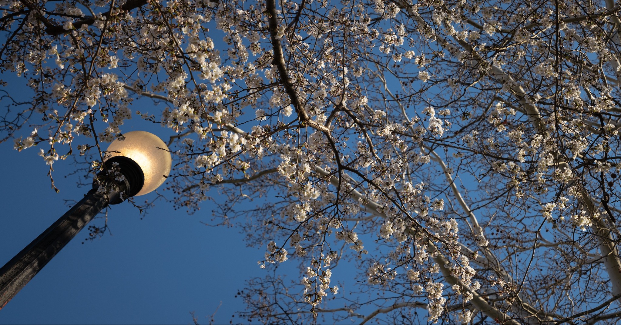 Spring is here
That means wedding season, events, and unforgettable moments are right around the corner.
We’ve been out capturing the beauty of the season, and we’re excited to continue expanding our portfolio with more love stories, celebrations, and creative projects.
If you’re planning a wedding, event, or need content that truly stands out, we’d love to be part of it.
Now booking for Spring & Summer
#SpringVibes #WeddingSeason #NowBooking #EventVideography #WeddingVideographer #PhotographyLife #CinematicWedding #LoveStories #EventPhotography #SpringWeddings #ContentCreator #CreativeEntrepreneur #AugustaGA #NorthAugusta #CSRA #PixelsStudios #VisualStorytelling #BookNow #WeddingContent #VideographyLife #BehindTheLens #CaptureMoments