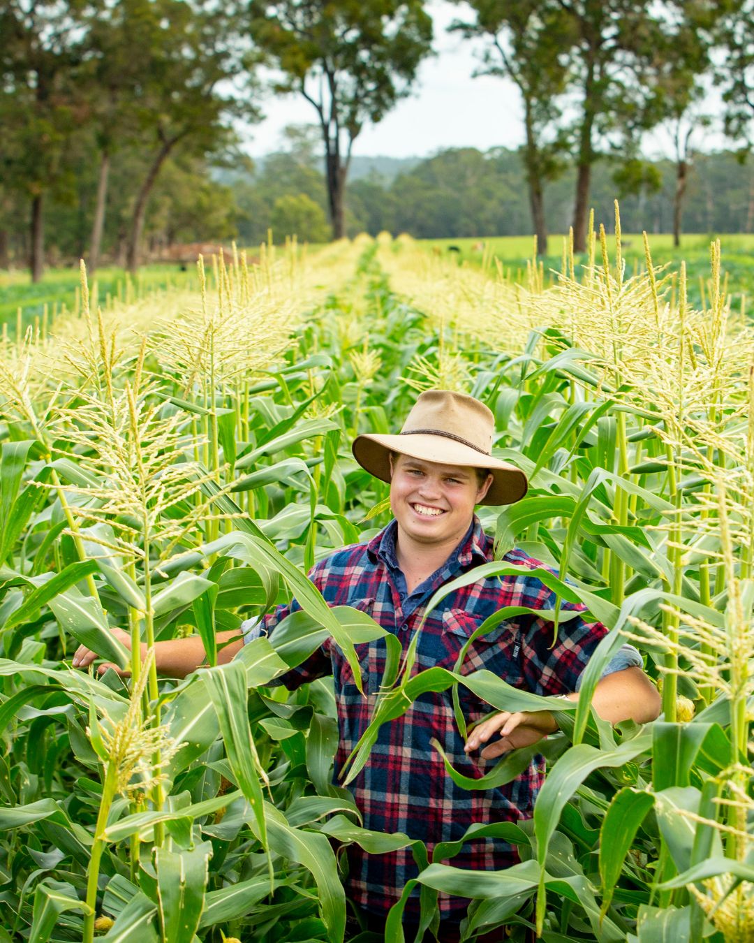 Meet the next generation behind Southern Forests produce. 🌱
Ewan Eatts of Morning Glory Farms in Manjimup is stepping into his own as a young grower, bringing fresh perspective and hands-on care to everything he grows. Backed by four generations of knowledge, he’s shaping his own approach with a focus on quality, flavour, and the land it comes from.
He’s in the paddock every day, working closely with each crop to ensure it reflects the character of the Southern Forests. This season, that care is on display in crops like spaghetti squash, grown with attention from planting through to harvest.
Read Ewan’s full Gen Fresh grower story via the link in our bio and discover what’s shaping his approach to farming. 🔗
📸 @craigkinderfood
#GenFresh #GenuinelySouthernForests #FreshLocalGenuine #MeetTheGrower #SouthernForestsGrower @_morninggloryfarms_