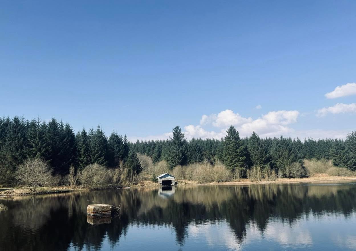 S O much beauty on our doorstep. Soak it all up ✨🌱👌
We are just about to start the Easter holidays. Wishing everyone a cracking time!
📍 Gatehouse of Fleet, Dumfries and Galloway
#escapeandwonder
#luxurystays
#dumfriesandgallowaylife
#hellospring🌸☀️