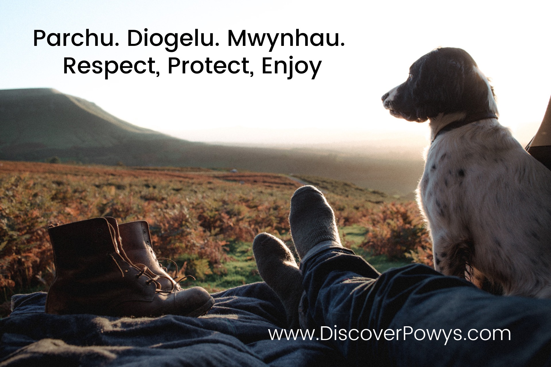 There’s nothing quite like waking to a still spring morning in Wales. Birds singing, mist drifting over the hills, sunlight slowly warming the valleys — you can feel the land coming to life. Lambs in the fields, blossoms on the trees, and the unmistakable scent of spring in the air.
Come and experience Mid Wales in bloom.
Please follow the Countryside Code:
* Keep dogs under close control
* Always close gates behind you
* Take all litter home, even biodegradable items
* Stick to paths and avoid disturbing wildlife and farm animals
* Don’t pick wildflowers
* Park responsibly and keep gateways and tracks clear
* Be mindful of working farms
Respect the land. Protect nature. Enjoy every moment.
�Does dim byd tebyg i ddeffro i fore tawel yn y gwanwyn yng Nghymru. Adar yn canu, gwelw yn llifo dros y bryniau, haul yn cynhesu’r dyffrynau’n araf — gallwch deimlo’r tir yn dod yn fyw.
Lambs yn y caeau, blodau’n blodeuo ar y coed, a’r arogl nodweddiadol o’r gwanwyn yn yr awyr.
Dewch i brofi Canolbarth Cymru ar ei orau yn y gwanwyn.
Dilynwch y Cod Gwledig:
* Cadwch giâu o dan reolaeth agos
* Cau’r gatiau bob amser ar ôl i chi fynd drwyddynt
* Cymerwch eich sbwriel i’r cartref, hyd yn oed eitemau bioddiraddadwy
* Arhoswch ar y llwybrau a pheidiwch â thorri ar draws bywyd gwyllt neu anifeiliaid fferm
* Peidiwch â chasglu blodau gwyllt
* Parcio’n gyfrifol a chadwch fynediadau a llwybrau’n rhydd
* Bod yn ymwybodol o ffermydd sy’n gweithio
Parchwch y tir. Amddiffynwch natur. Mwynhewch bob eiliad.