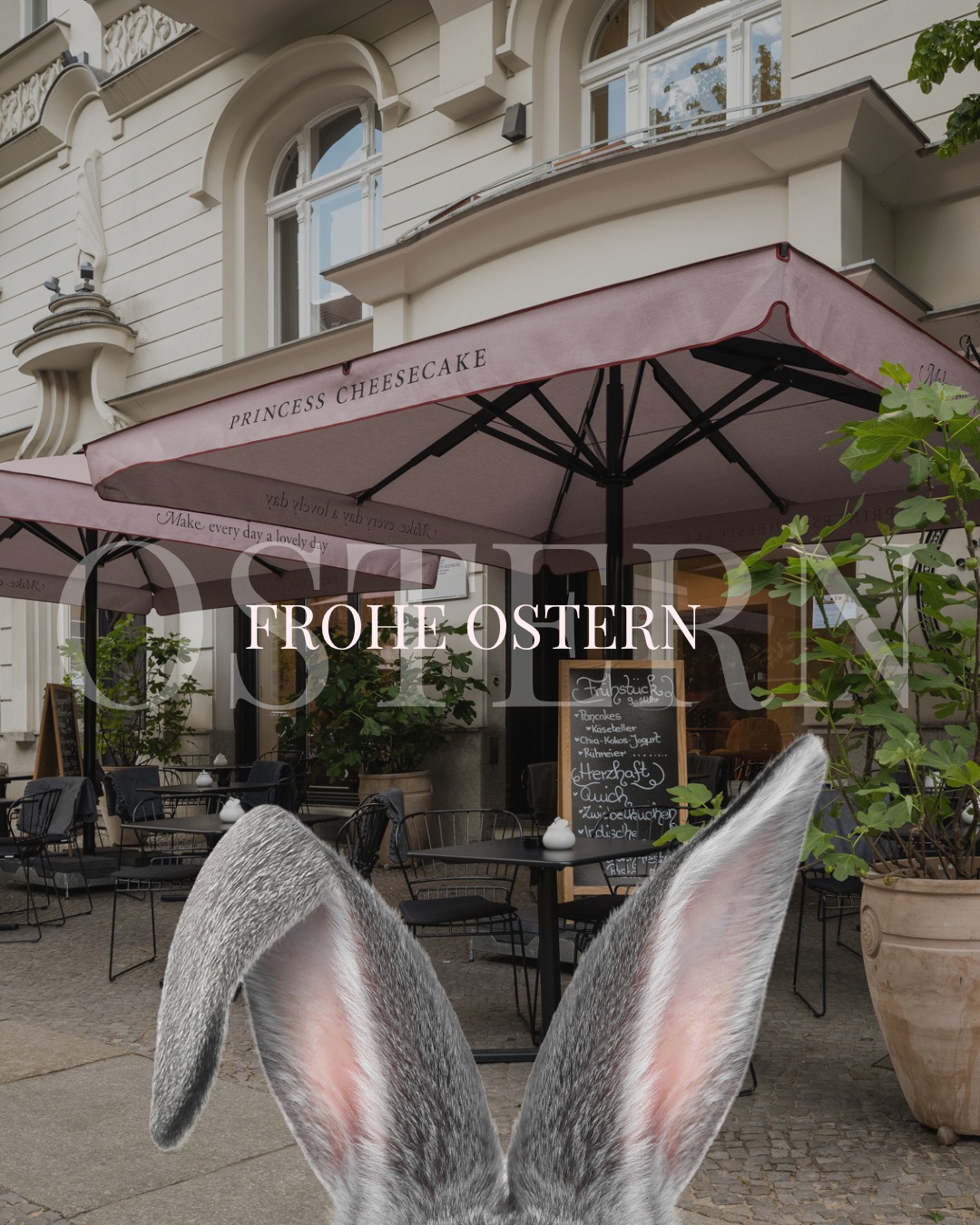 Frohe Ostern wünscht euch das Princess Cheesecake Team!
🥐 Nach dem Osterbrunch ist vor dem Kuchen 🥐
Spaziergang, gute Gespräche – und dann ein Stück Kuchen bei uns im Café.
Unsere Vitrinen sind gefüllt mit allem, was das Herz begehrt.
Perfekt für einen entspannten Osternachmittag. 🌷🍰 Du suchst noch das perfekte Geschenk? Einfach online in unserem Cake Shop bestellen und Vorfreude genießen. 🐣✨
#Osterbrunch #PrincessCheesecake #BerlinCafé #CheesecakeLove