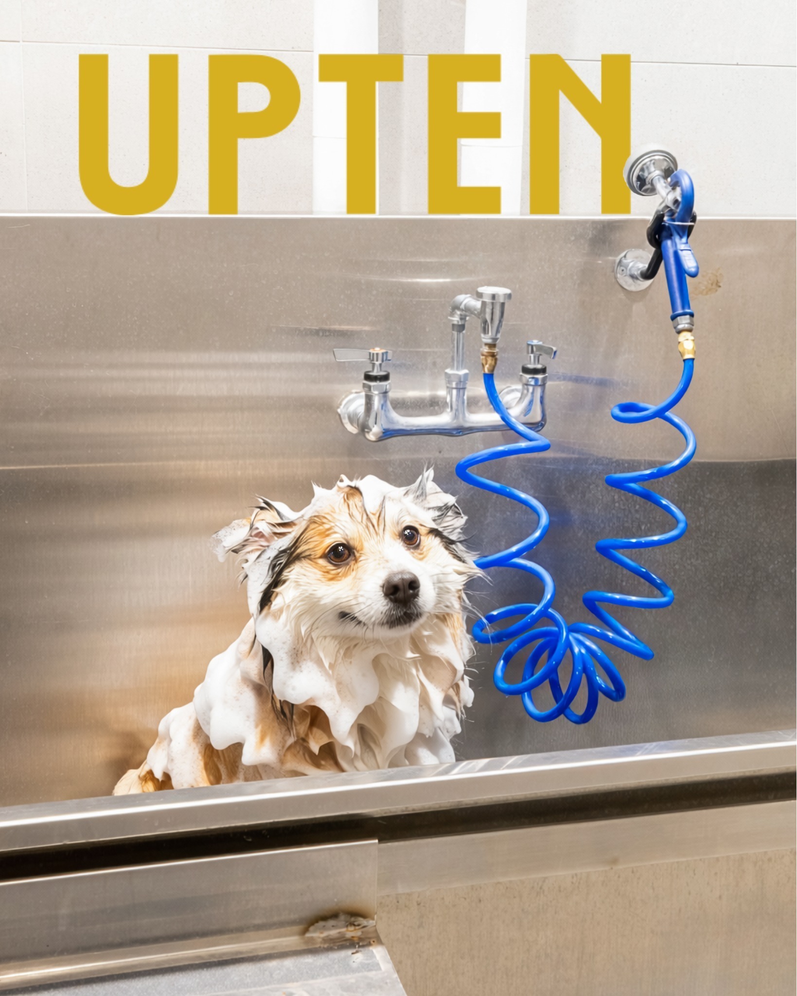 Happy National Puppy Day! 🐾💛
Today we’re celebrating puppy love. At Upten, pet-friendly living comes with perks—like our on-site pet wash station for muddy paws after walk time.
Every pup deserves a clean coat, a comfy home, and lots of love.
#NationalPuppyDay #UptenApartments #PetFriendlyLiving #PetWashStation #PuppyLove #YYCLiving