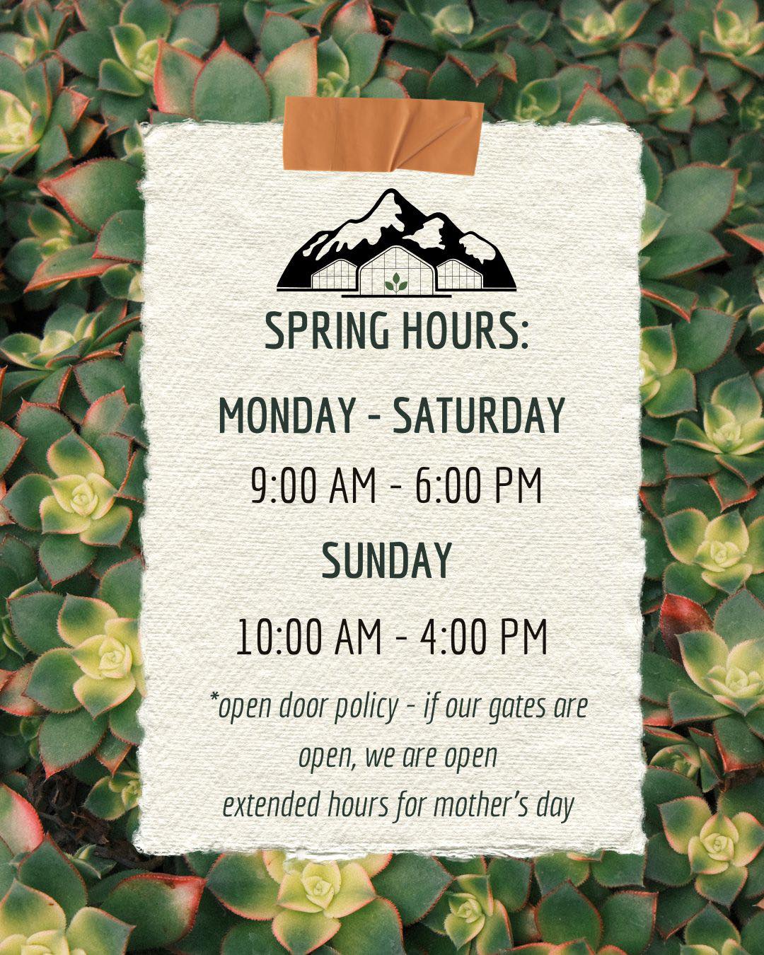 We’re Open for the Season!
The greenhouse is full, the benches are stocked, and a new season at Summit Sprouts is officially underway.
After months of planning, growing, and getting everything just right… we’re ready to welcome you back.
This year we’ve planted over 100,000 plants on-site, grown our own custom hanging basket blends, and will have new deliveries arriving weekly to keep things fresh all season long.
We’ve also brought in some fun and unexpected finds wasabi, bay laurel trees, white sage, and plenty more unique plants you won’t see everywhere else.
Come wander, get inspired, and find something you didn’t know you needed!
We’re here, we’re open, and we can’t wait to see you.
Our hours are posted in the photo; save it, screenshot it, and plan your visit. And if you see the gates open, that means we are too! Come on in!
Summit Sprouts Nursery
208.772.2560
37 W Wyoming Ave
Hayden ID, 83835
#seeds #spring #garden #pnw #provenwinners #plantingseason #inlandnorthwest #hayden #summitsprouts #idaho #coeurdalene #postfalls #nursery