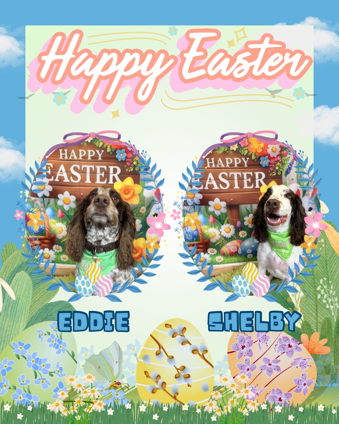 Eddie & Shelby
.
.
.
#worcesterparksurrey #surbitonandsurroundingareas #surbiton #nonsuchpark #surbitonsmallbusiness #newmalden #surrey #worcesterpark #dogsofsurrey #newmaldendogs #tolworthdogs #raynespark #tolworth #esher #epsom #surbitondogs #nonsuchparkdogs #ewell #worcesterparksurreybusiness #chessington