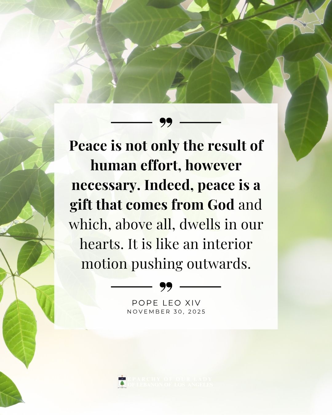 Peace is not only the result of human effort, however necessary. Indeed, peace is a gift that comes from God and which, above all, dwells in our hearts. It is like an interior motion pushing outwards.
Pope Leo XIV
November 30, 2025