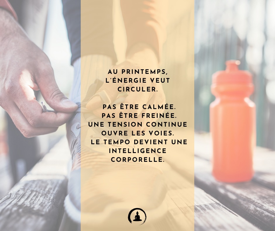 Au printemps, l’énergie veut circuler.
Pas être calmée.
Pas être freinée.
Une tension continue ouvre les voies.
Le tempo devient une intelligence corporelle.