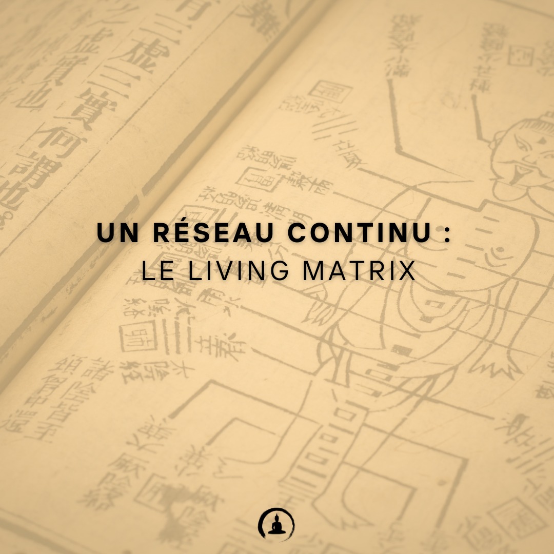 Un réseau continu : le Living Matrix
Le Dr James Oschman décrit le corps comme un Living Matrix :
une continuité de collagène + eau + cytosquelette + membranes cellulaires + fascias.
Ce réseau conduit :
• signaux mécaniques
• signaux électriques
• signaux photoélectriques
• signaux chimiques
• signaux thermiques
Les méridiens = zones privilégiées de propagation dans cette matrice.