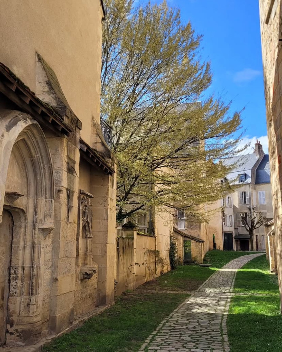 Photodump de mars 🎞️
1. Le passage du temps
2. Lumière céleste à Nevers
3. Poésie sauvage, c'est enfin le printemps !
4. L'heure dorée sur la Loire
Et vous, votre mois de mars ?
#Loireenvie #photodump #patrimoine #citywalk #goldenhour
📷 Merci @instantsdevieetdailleurs - @ph_blur -@nathrenoux