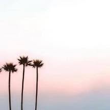 🌴BIKINISboutique🌴
Bandanaparty🤍onadore
https://www.bikinisboutique.fr/product-page/teeshirt-one1tee Teeshirt ONE1TEE 70€
https://www.bikinisboutique.fr/product-page/pantalon-wide-7forallmankind
Jean wide 7FAM 250€
https://www.bikinisboutique.fr/product-page/sabot-ysor-youyou SabotYOUYOU YSOR
245€
✖️Ouvert✖️7/7
Tous les lundis, mardis , mercredis, jeudis vendredis,samedi et Dimanche 🌻
➿10h-12h30/ 14h30-18h***
➰➰➰➰➰➰➰
VENTE A DISTANCE ! 7/7
🛍️🛍️🛍️🛍️
🖥️ Retrouvez tout sur notre site internet :
Il reste ouvert 7/7
✨✨
https://www.bikinisboutique.fr/
✨✨✨✨
🛍️🛍️🛍️🛍️
✨✨✨✨✨
📞 0467013133
⛳️ le cap d’Agde .
🚚 📦 Expédition 🌍
🚚 🚚 n’oubliez pas le service VAD
Posez nous vos questions !
Paiement à distance 💳
Paiement x3 & PayPal 💰
Rdv FaceTime possible. 🌵
➰➰➰➰➰➰➰
#fahionboutique#portducapdagde
Languedocroussillon#mode#conceptstore.#placedelarbre🌸🌸🌸