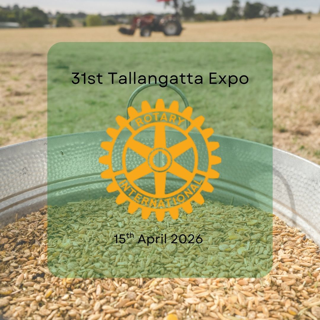 A massive week ahead for the team at Green Valley! This coming Wednesday 16th April we will be attending the 31st Tallangatta Expo.
We are so excited to connect in person with our Northern Victoria customers and spread the news of all things Green Valley Grains.
We hope to see you there!
#greenvalleygrains🌾 #feedsafefeedmill #proudlyaustralianmadeandowned