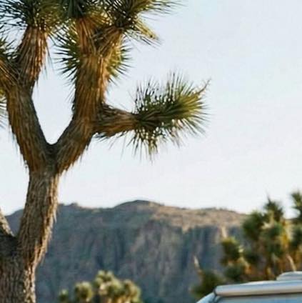 🌸BikinisBoutique🌸
Un dimanche à la boutique..
en FAVÉLA MARKET
https://www.bikinisboutique.fr/product-page/robe-maude-fav%C3%A9la-market
Robe chemise blue 125€
🌸
Bonne journée 🤍🤍
https://www.bikinisboutique.fr/
🛍️🛍️🌸🌸🛍️🛍️
n’oubliez pas le service VAD 📦
✨✨✨✨✨
🌸🌸
🌸 La boutique est ouverte 🌸🌸mardi au dimanche
🩷🩷10h-12h30/14h30-18h🩷🩵
🌸
Lundi matin fermé
Ouverture 14h-18h 🌸🌸
Expédition 🚚 📦 partout
Posez nous vos questions !
Paiement à distance
Paiement x3 PayPal
Rdv FaceTime possible.