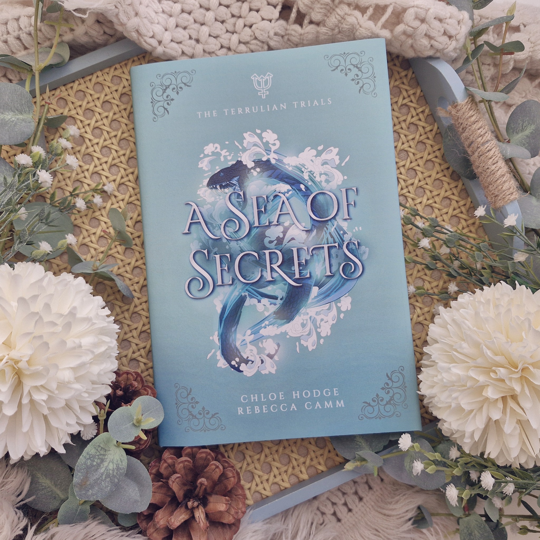 🩵 A Sea of Secrets 🩵
Books 1 - 3 of The Terrulian Trials are out now 🥰
You should definitely pick these books up if you love (this list is long 😅):
🩵 Urban Fantasies
💚 Why Choose
🩵 Spicy Romance
💚 Deadly Competitions
🩵 Multiple POVs
💚 Enemies to lovers
🩵 Bully romance
💚 Insta lust
🩵 Friends to lovers
💚 Who did this to you
🩵 Academy setting
#indiebooks #whychoose #whychooseromance #bookstagram #instabook #bookish #bookworm #bookdragon #booksbooksbooks #booksofinstagram #readersofinstagram #read #reading #readingwritingdaydreaming