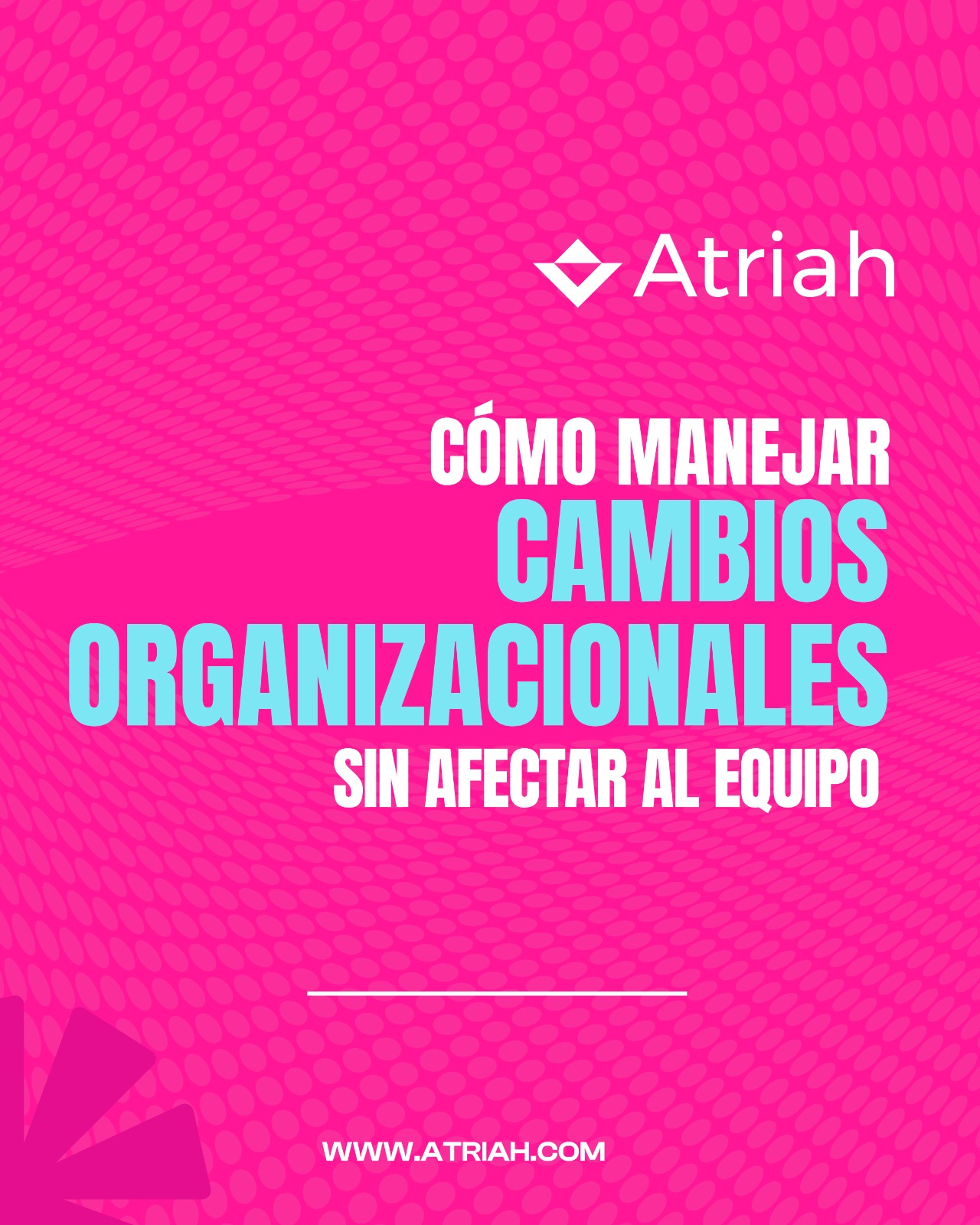 Los cambios dentro de una empresa deben manejarse con comunicación, planificación y liderazgo. 🔄
Una transición bien dirigida reduce la incertidumbre y protege la estabilidad del equipo.
En Atriah te ayudamos a gestionar cambios de forma estratégica y humana. 🤝
📍 San Juan, Puerto Rico
🌐 atriah.com
📧 mrivera@atriah.com
#Atriah #CambioOrganizacional #RecursosHumanos #Liderazgo #RRHH #EmpresasPR
