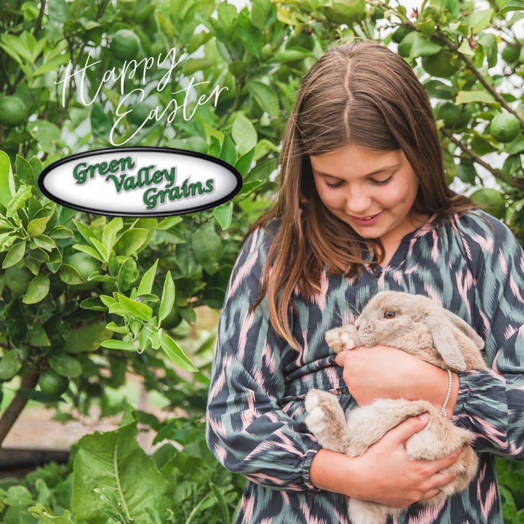 From us all here at the Green Valley Farm, we wish all of our incredible community, two & four legged, feathered and fur tribe members a wonderful Easter.
We hope that you are all nourishing yourselves with wholesome goodness and spending the time with ones that matter to you most.
#greenvalleygrains🌾 #australianmadeandowned🇦🇺 #easter2026🐣🐇