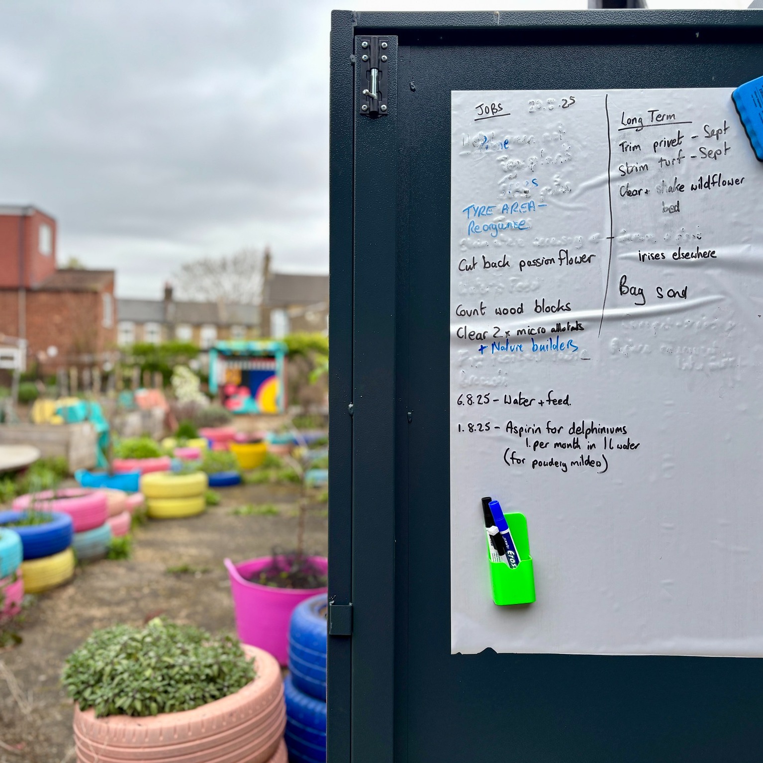 #theUPgarden is designed to be as low maintenance as possible, but we are so grateful to our community gardeners who give up time every week to make it extra welcoming to visitors of all species.
Drop in to give them a hand any Wednesday 4-5pm to help keep it a free space for all!