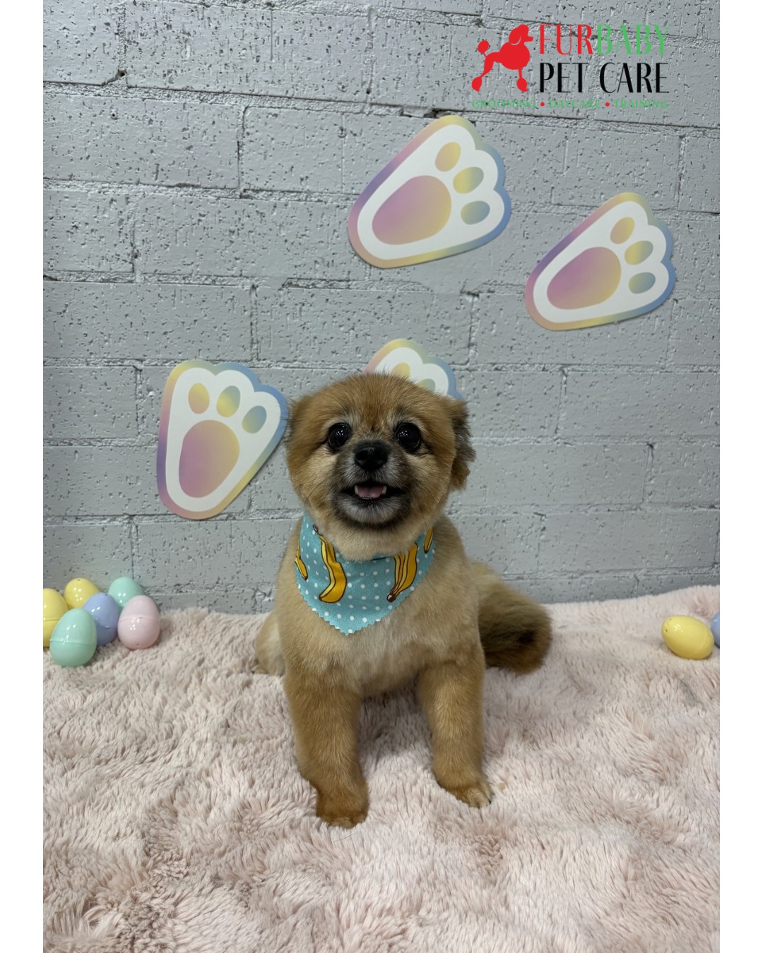 🌸 Stop right there! Luna’s Easter glow-up deserves your full attention 🐾