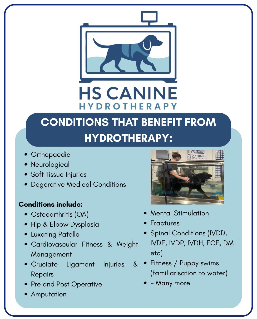 🐾 Did you know hydrotherapy can support a wide range of conditions? 🐾
Canine hydrotherapy isn’t just for one type of injury it can benefit animals at all life stages, from recovery to fitness and wellbeing.
✨ Conditions that can benefit from hydrotherapy include:
• Osteoarthritis (OA)
• Hip & Elbow Dysplasia
• Luxating Patella
• Cruciate Ligament Injuries & Repairs
• Pre and Post Operative Rehabilitation
• Fractures – supporting healing and new bone growth
• Spinal Conditions (IVDD, IVDE, IVDP, IVDH, FCE, DM etc.)
• Amputation recovery
💪 It also supports:
• Cardiovascular Fitness & Weight Management
• Mental Stimulation & Confidence Building
• Fitness / Puppy Swims (water familiarisation)
And so much more!
🐾 And don’t forget… we don’t just work with dogs! 🐾
We’re proud to support a range of animals, tailoring every session to suit their individual needs 💙
