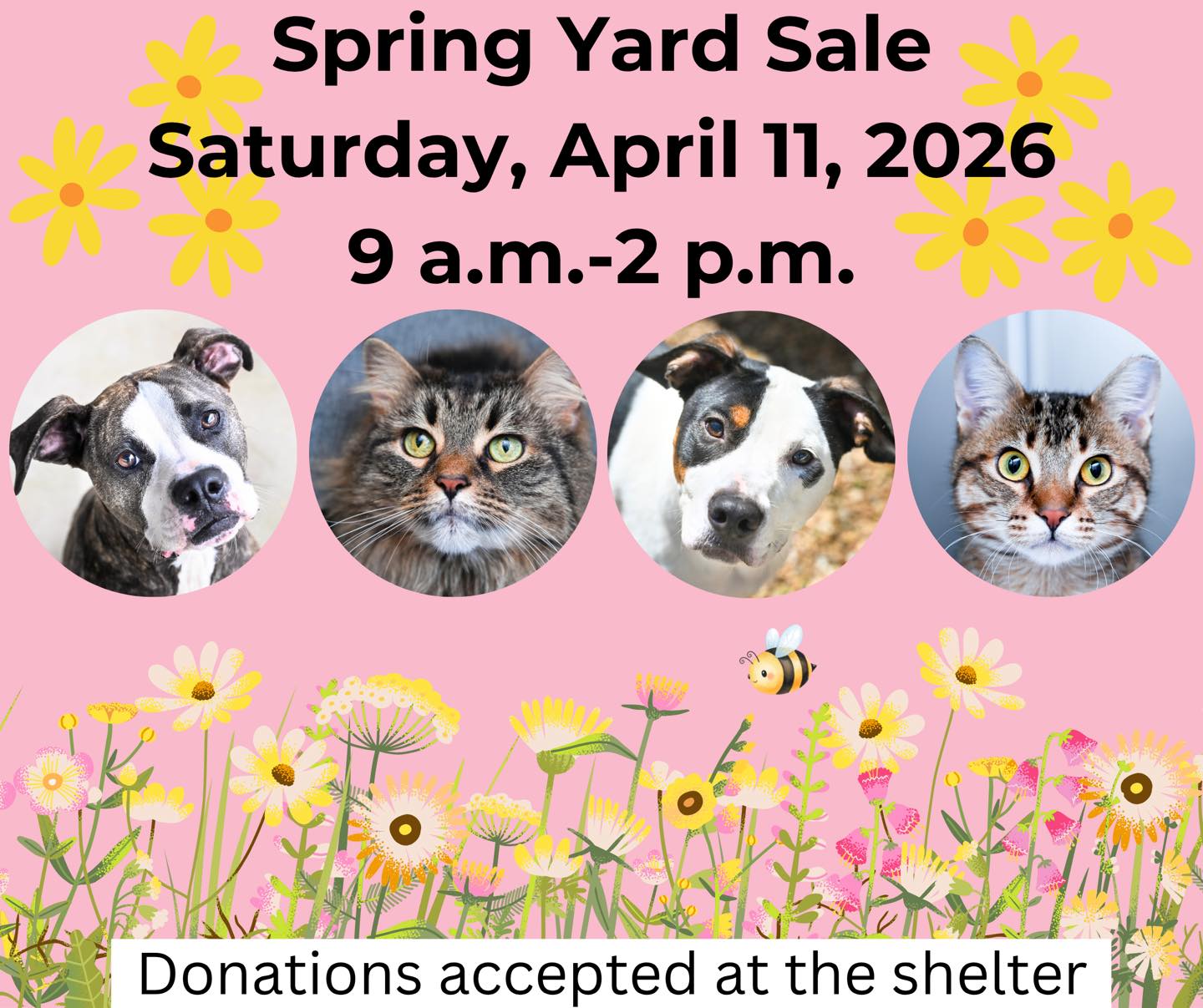 We are accepting donations for our upcoming yard sale. We would appreciate any household, office, kid, or pet related items that are in good condition. We will not be accepting any clothing items. Donations are tax deductible and can be dropped off during our business hours. Come and shop for a cause. Thank you!!!