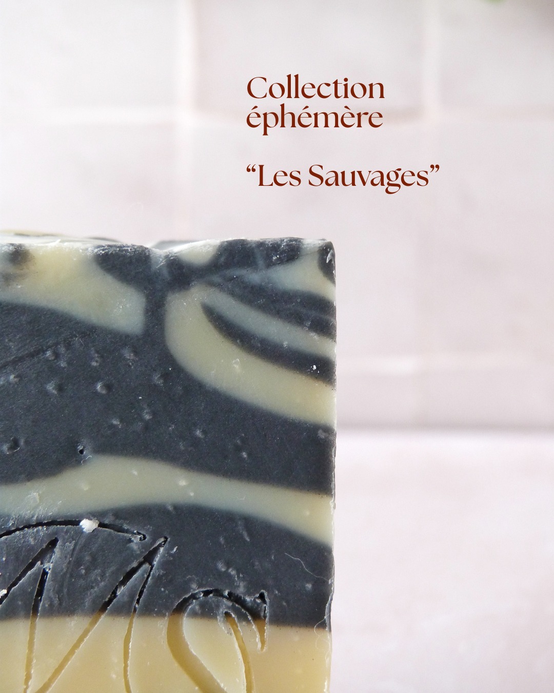 Inspiration sauvage
Comme tu le sais déjà, ma première collection éphémère s'appelle "Les Sauvages".
Je m'inspire du vivant pour revisiter mes savons existants.
Donc nouveau look mais douceur égale.
Sauras-tu deviner quels animaux m'ont inspirés?
#artisanefrançaise #savonnerieartisanale #faitmain