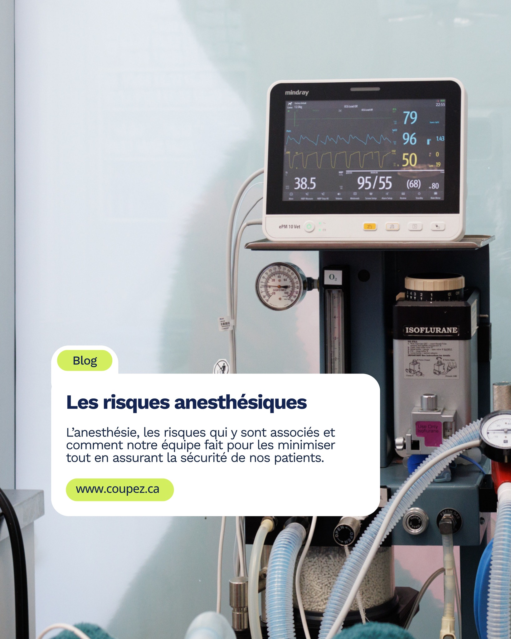 L’anesthésie est souvent la partie de la chirurgie la plus stressante pour les propriétaires d’animaux.
Pourtant, cette crainte est ancrée dans des mythes et des croyances qui sont, pour la plupart, dépassés.
Dans notre article de blog de ce mois-ci, apprenez-en plus sur l'anesthésie, les réels risques qui y sont associés et comment notre équipe fait pour les minimiser et assurer la sécurité de nos patients endormis pour leur chirurgie. 💙
https://www.coupez.ca/conseils