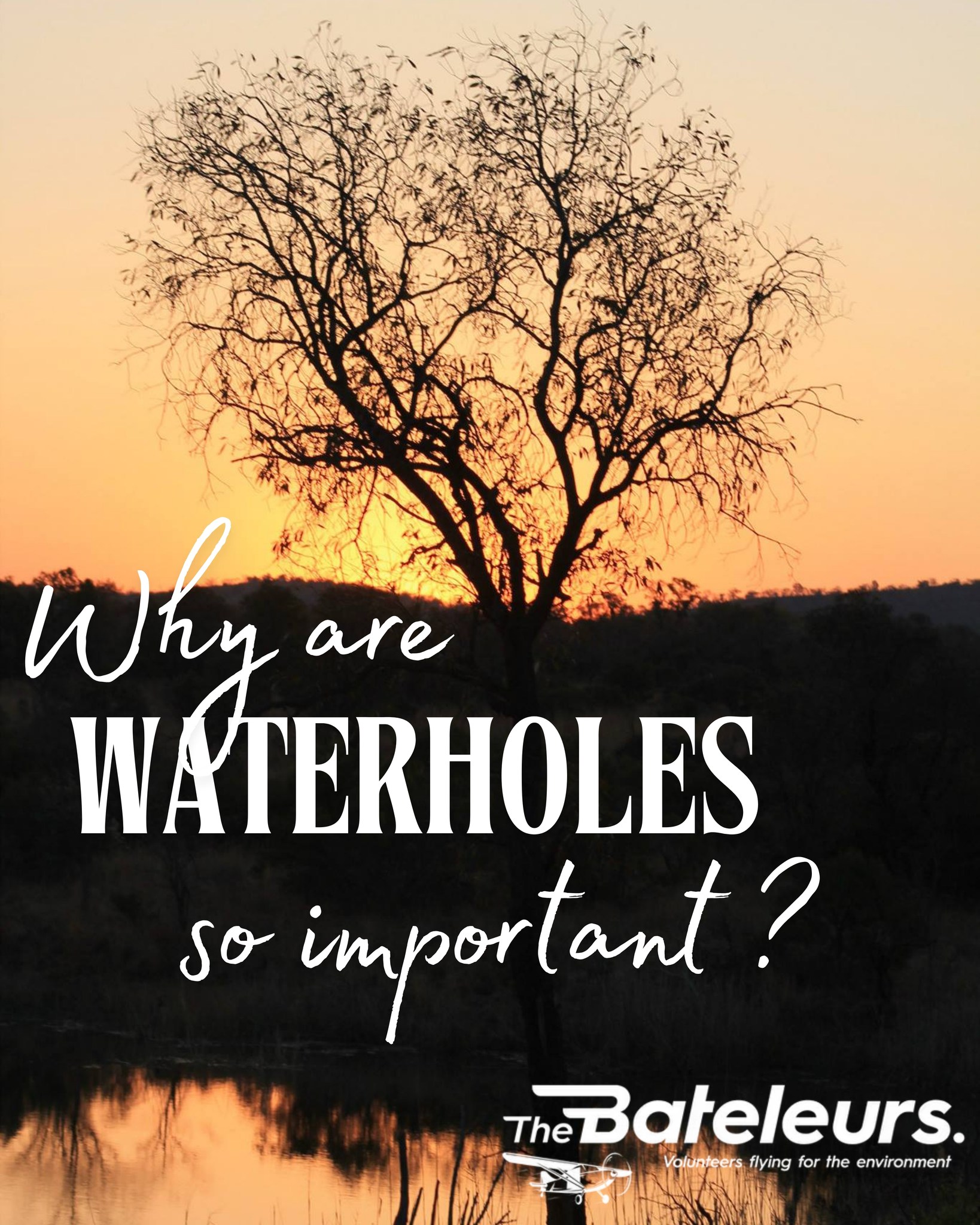 In the wild, water is everything 💧🐾
Waterholes are more than just a place to drink; they are lifelines that support entire ecosystems. From elephants and antelope to birds, insects, and plant life, countless species depend on these vital sources to survive.
They are meeting points, survival zones, and in times of drought, they can mean the difference between life and loss.
For conservation organisations like The Bateleurs, protecting these environments is critical. From above, their work helps monitor ecosystems, identify threats, and support the preservation of the delicate balance that wildlife depends on.
Because sometimes, saving a species starts with protecting a single waterhole.
🔗 Learn more: https://www.bateleurs.co.za/missions-and-news
#TheBateleurs #WaterIsLife #WildlifeConservation #ProtectOurPlanet #AfricanWildlife