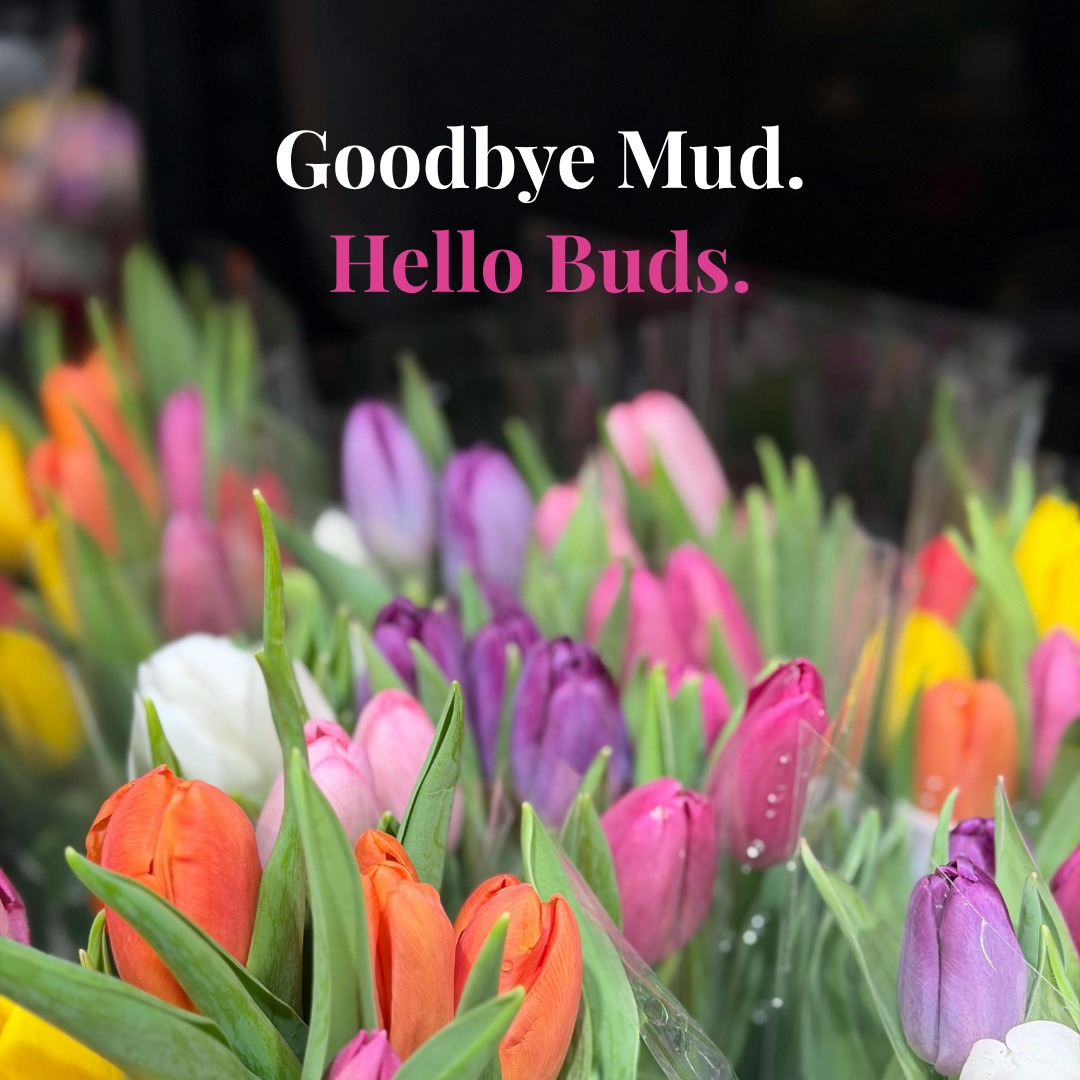 Happy Good Friday, Woodstock! 🌸
Wishing a peaceful Easter weekend to everyone in our community.
Spring is truly arriving — the buds are coming, the mud is (slowly) receding, and the Woodstock Green is starting to look like itself again.
We'll be celebrating all of that and more on May 8th at the Mudstock Gala. 🌿
Visit pentanglearts.org for more information and enjoy the weekend, friends.
#GoodFriday #EasterWeekend #WoodstockVT #VermontSpring #PentangleArts #MudstockGala