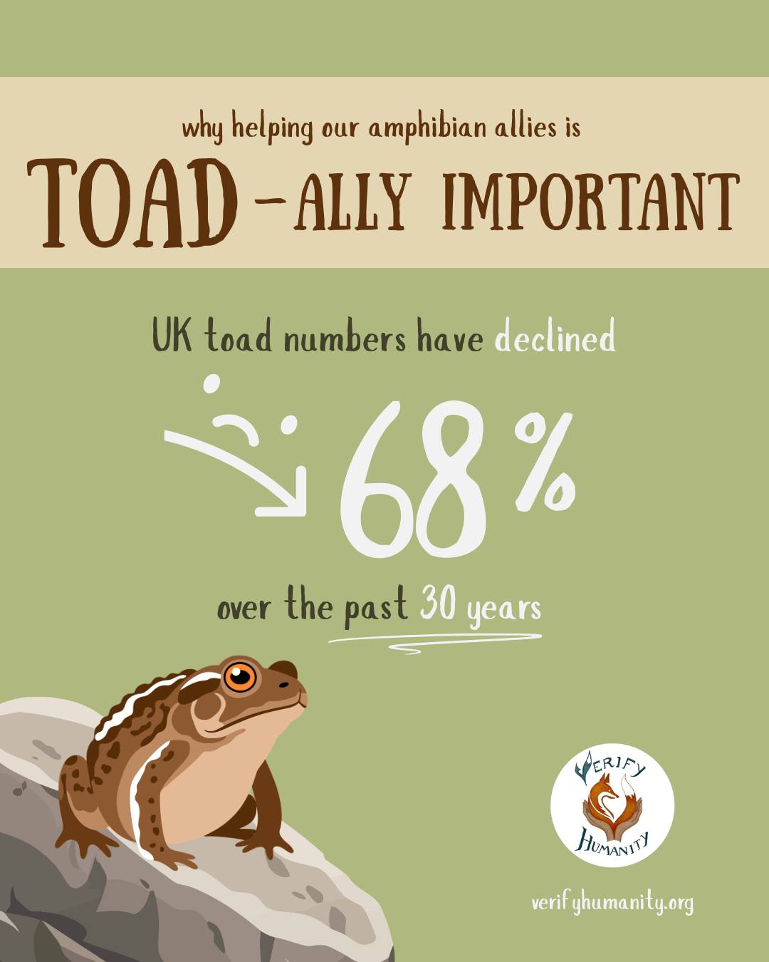 Our toads need a helping hand. 🐸🌿
The UK’s common toad population has declined by 68% since the 1980s, largely due to road deaths, habitat loss, climate change, and disease. As towns and cities expand, migration routes to breeding ponds become increasingly dangerous—especially in spring.
Thanks to volunteers from Froglife’s “Toads on Roads” scheme, over 90,000 toads are helped safely across roads every year.
You can help by:
• Volunteering your time
• Reporting toad sightings
• Creating wildlife-friendly gardens
• Driving carefully near toad crossings
Every small action helps our amphibian friends thrive.
#toads #toadsuk #helpwildlife #wildliferesearch #helptoads
Sources
Petrovan, S. O., & Schmidt, B. R. (2016). Volunteer Conservation Action Data Reveals Large-Scale and Long-Term Negative Population Trends of a Widespread Amphibian, the Common Toad (Bufo bufo). Plos One, 11, Article 10. https://doi.org/10.1371/journal.pone.0161943