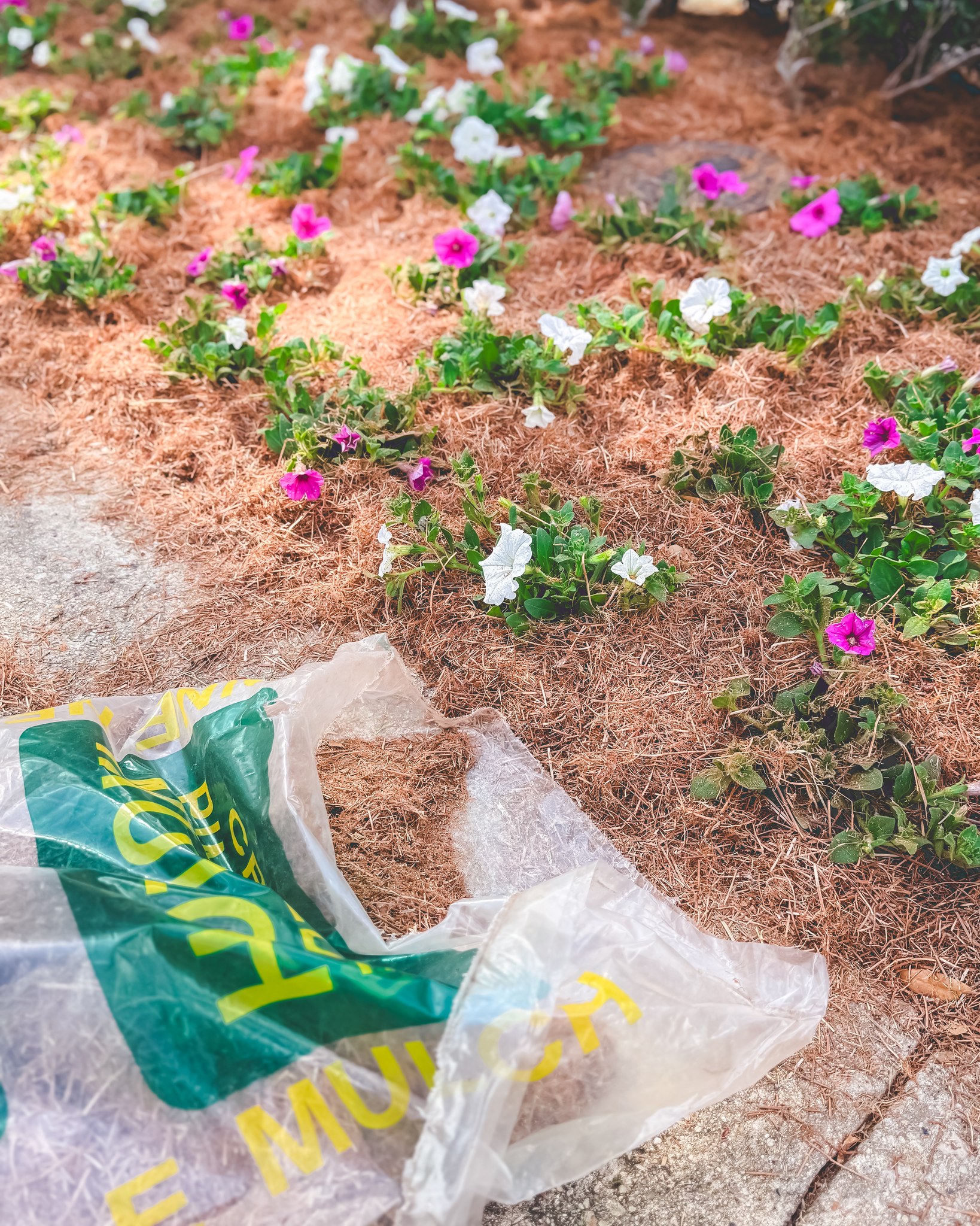We’ve kicked off our spring color installs 🌷
Nothing better than adding that fresh pop of color to welcome the season.
▫️ ▫️ ▫️ ▫️ ▫️ ▫️ ▫️ ▫️ ▫️ ▫️
#thegardengateslandscapecompany #landscapedesign #residentialdesign #residentiallandscapedesign #neworleanslandscapes #pavers #thegardengateslandscapecompany #neworleans #metairielandscapes #design #iheartnola #artificialturf #turf #design