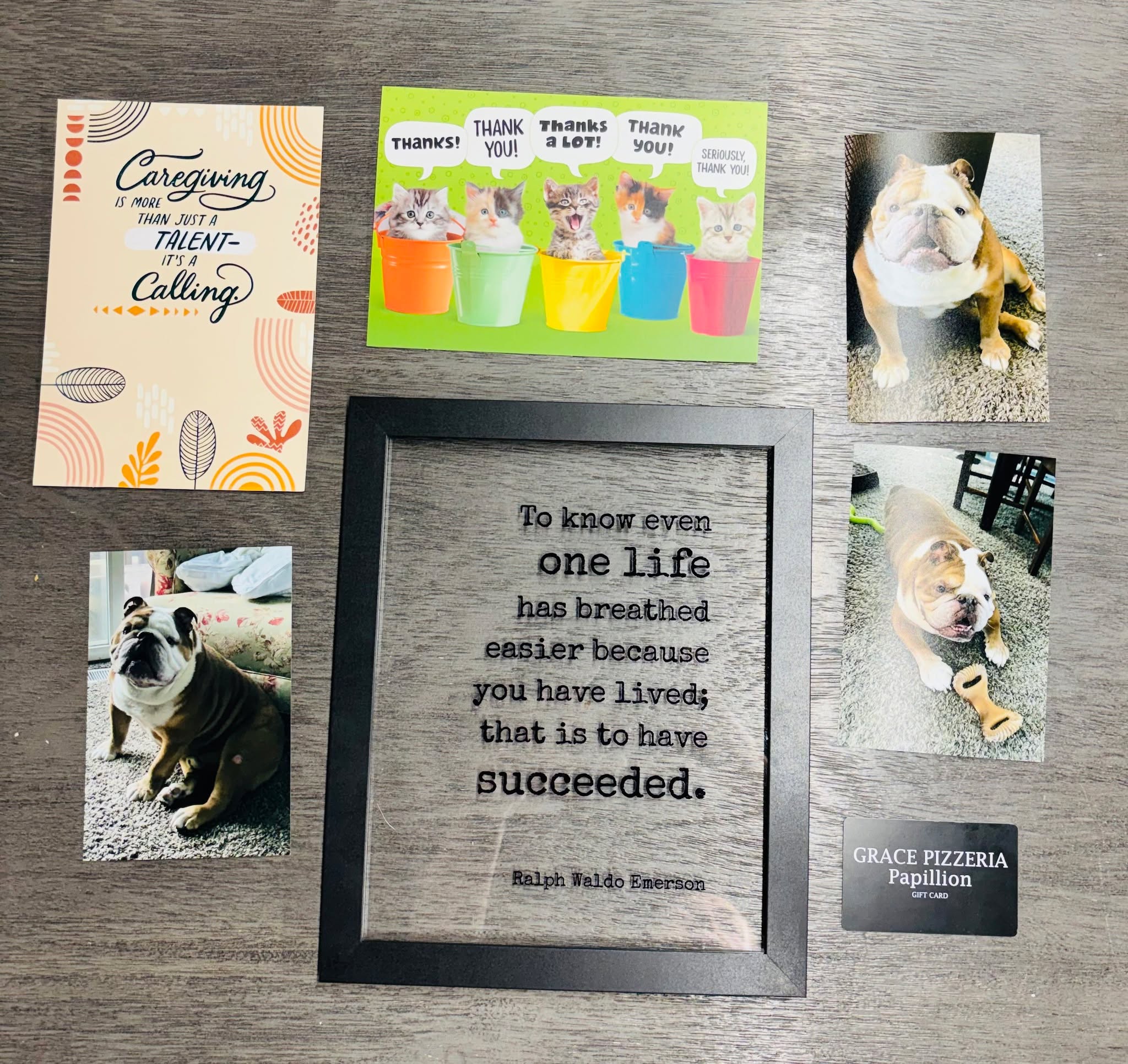 Some bonds go far beyond appointments and exam rooms. 🐾
Herbert Hoover was a special part of our PAH family, and we are so grateful for the time we had with him. His family’s thoughtful note and generous gesture to our team is a reminder of how meaningful these relationships truly are.
“To know even one life has breathed easier because you have lived; that is to have succeeded.” 🩵