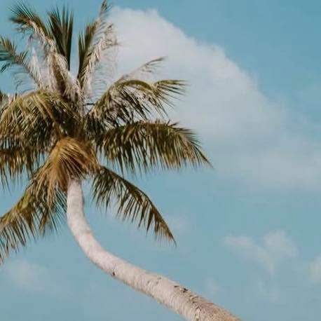 BikinisBoutique 🌴🌴🌴