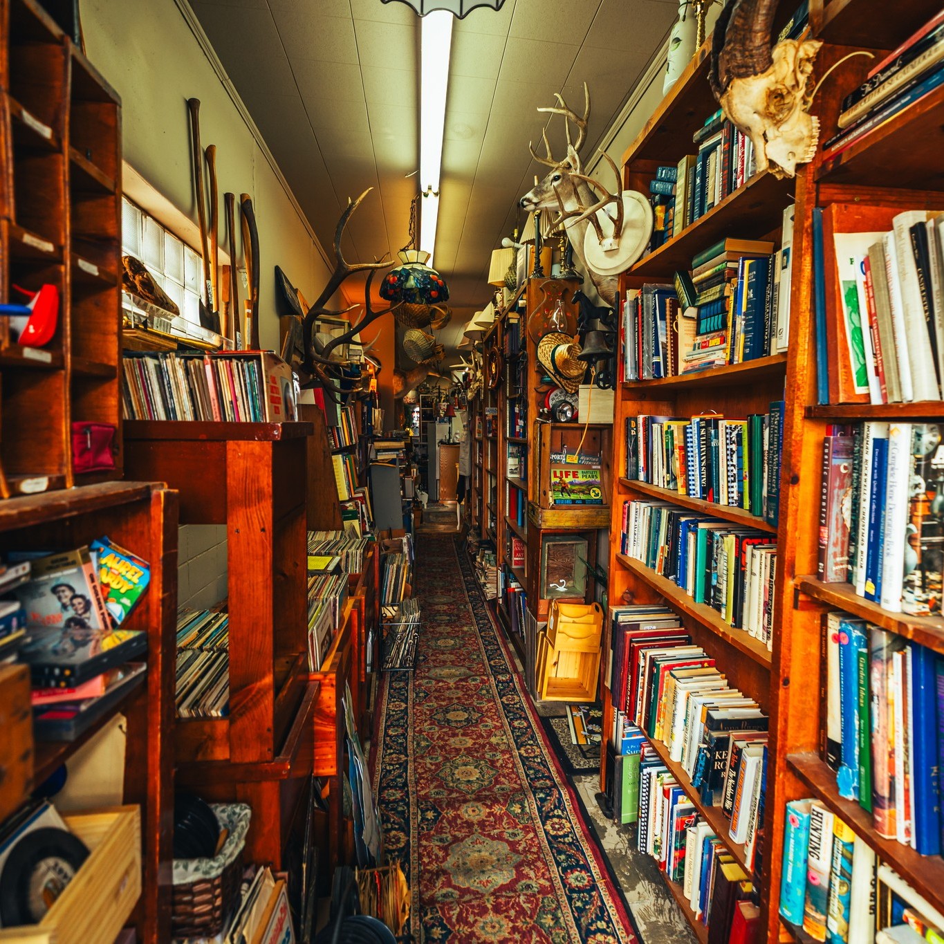 Floor to ceiling shelves, winding hallways, kitschy knick-knacks as far as the eye can see... what more could an antique-lover want? 😍
📍Ole Grapevine Antiques, Shelbyville, TN
📸: Morrison Visuals
#WalkingHorseCountry
