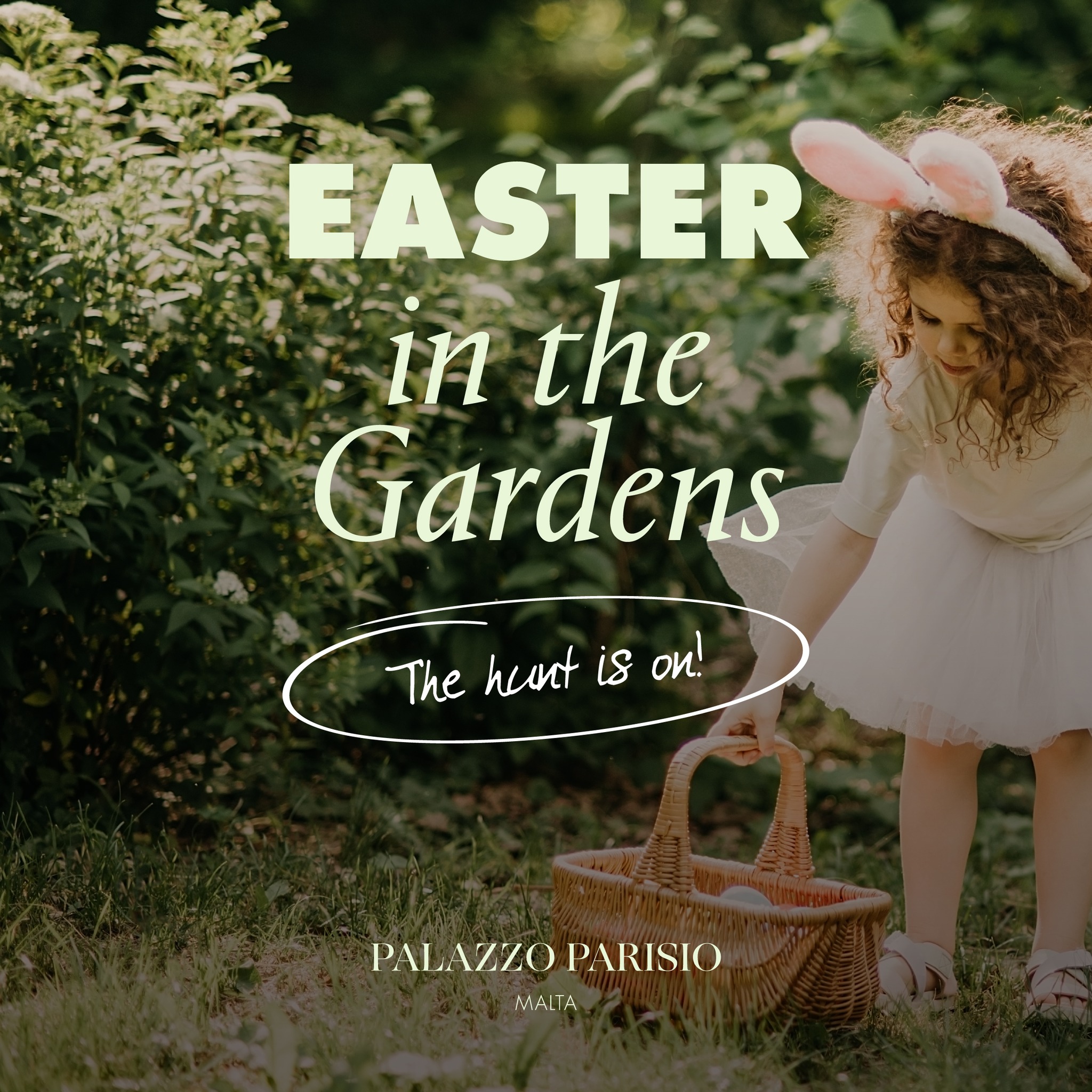 The gardens are ready. The menu is set. The rabbits have confirmed their attendance. 🐇
@themaltarabbitclub