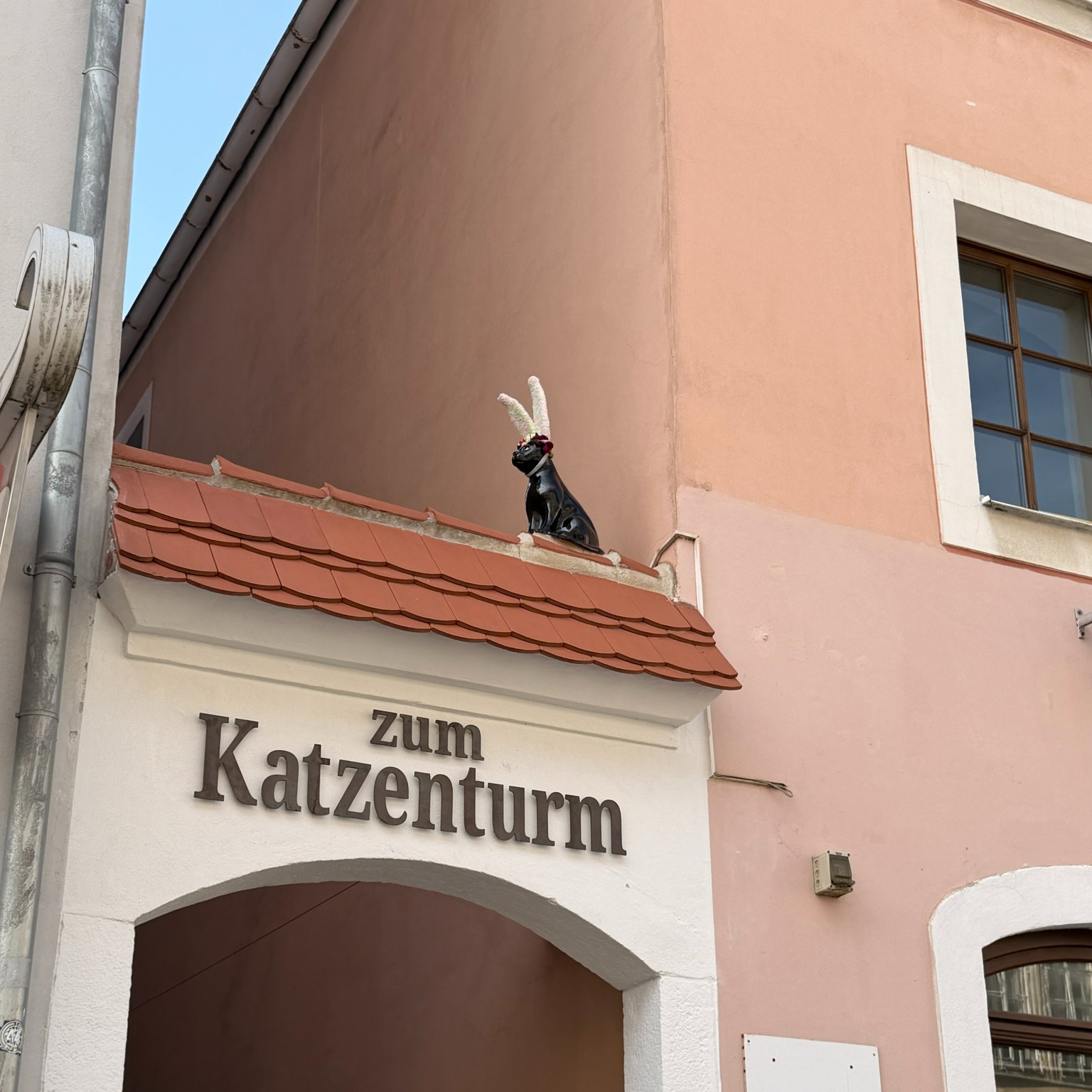 Habt ihr schon Sammy gesehen? Die hat sich auch schon ganz österlich in Schale geworfen. Eine sogenannte Hoppelkatze😅...
#ostern #kleinstadtliebe #osterbrunnen #vereinskatze