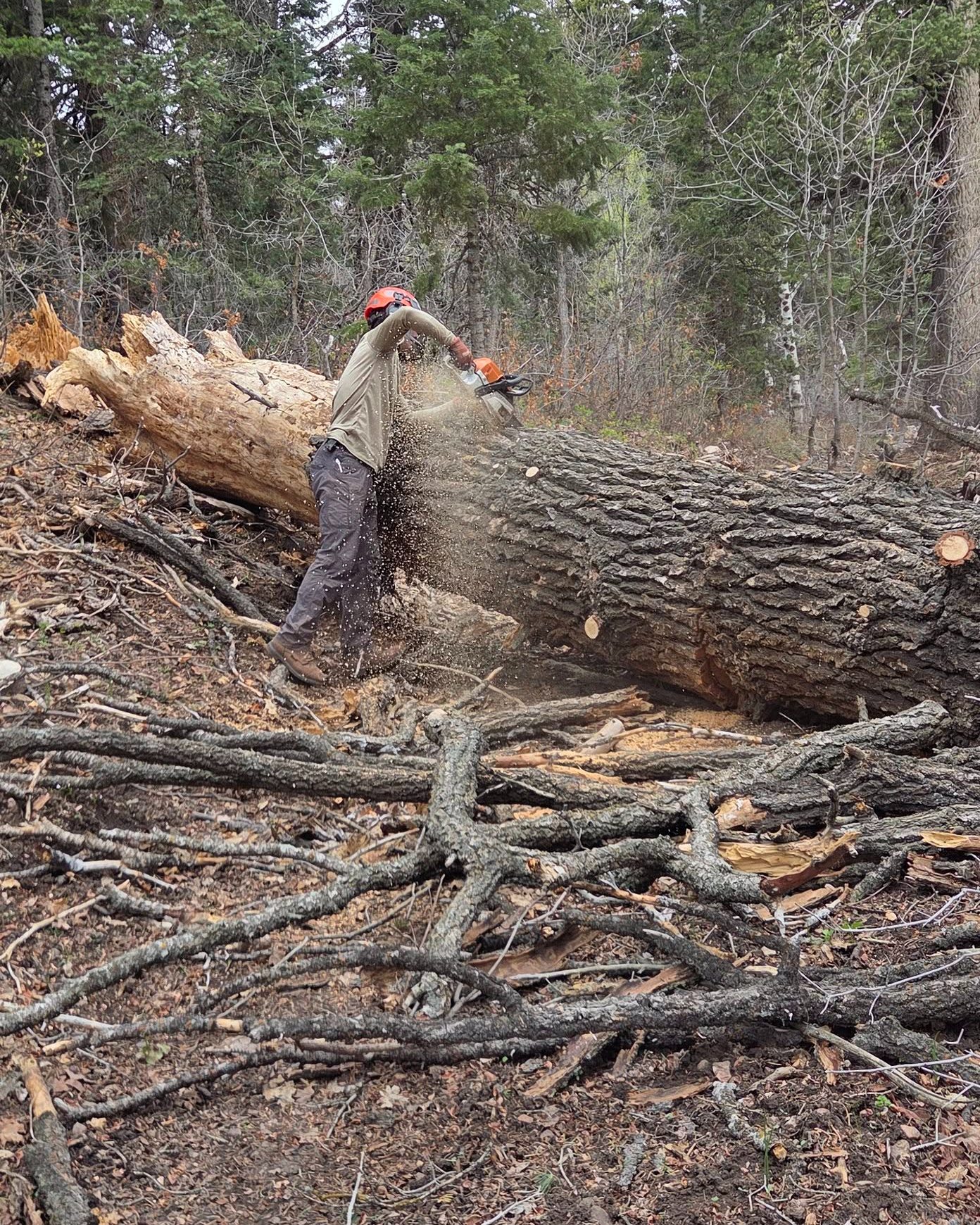 🚵 Canyon Rim Trail Conditions Update 🌨️
Canyon Rim is close, but the rain this week has set us back a bit. We have done a ton of work out there, and we're making progress — but there's still a little more to go before we're ready to open.
Trust us, we want to ride it just as bad as you do! But we're not willing to let riders push through mud that will linger for months in that heavy clay soil. A little patience now means a lot more great riding all season long. 🙌
We'll keep you posted — stay tuned! 👀