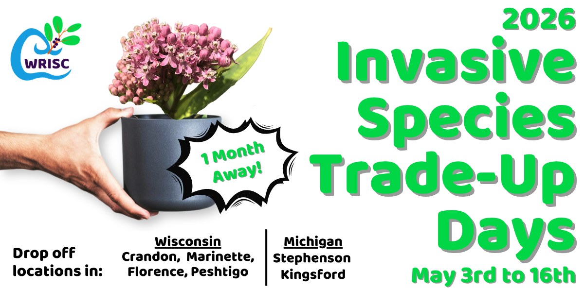 Do you have invasive shrubs invading your land? Never fear! Our 6th annual Invasive Species Trade-Up Days are near! Starting in one month, on May 3rd, you can drop off
invasive shrubs at one of our drop-off events. In exchange, you will receive a $10 voucher (up to $100) redeemable for a native shrub or perennial from a local greenhouse, nursery, or plant sale!
This is a great opportunity to enhance native habitat on your property, support local businesses, and help our local environment and community!
🌳More information to come!🌳