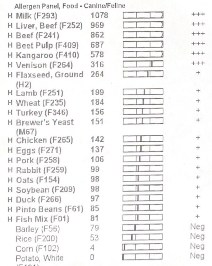 Our latest email newsletter 🪿THE SILLY SCOOP🪿 just dropped, are you subscribed??
I talk about Reesa's allergy history, as well as our upcoming plans for trips🇮🇹, & special visitors heading this way!
📋 I've included Reesy's dietary allergy results for your viewing interest. You can see when I say she's allergic to 'nearly everything', unfortunately dramatics aren't at play. I'm grateful for the science behind hydrolyzed protein, so she's able to get much needed nutrients into her body, instead of just a cup of ice chips & well wishes 🤣
Click to Check out the Email Here 📰
https://clt1794491.bmeurl.co/13B5F6CE
Subscribe by Heading to the Website, & Scrolling Down
https://www.thesillygooses.com/